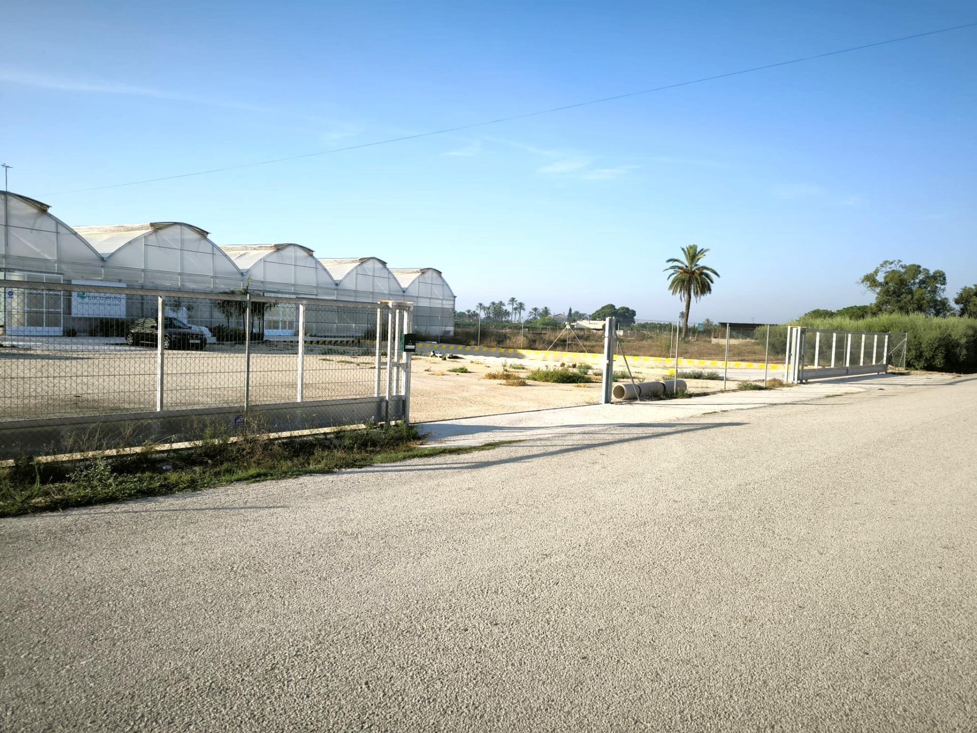 Fincas y solares-Venta-Elche-1943521-Foto-38