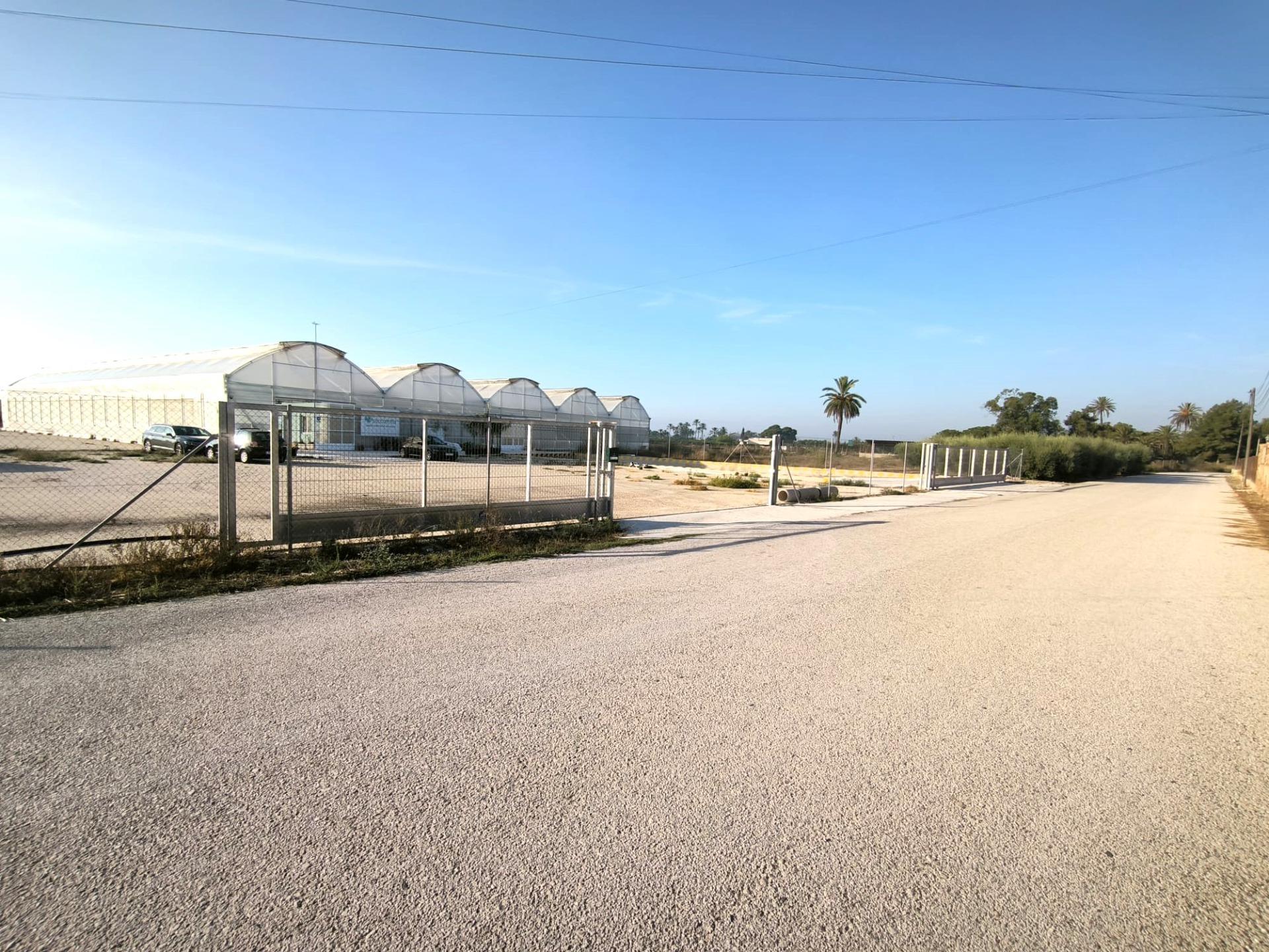 Fincas y solares-Venta-Elche-1943521-Foto-37