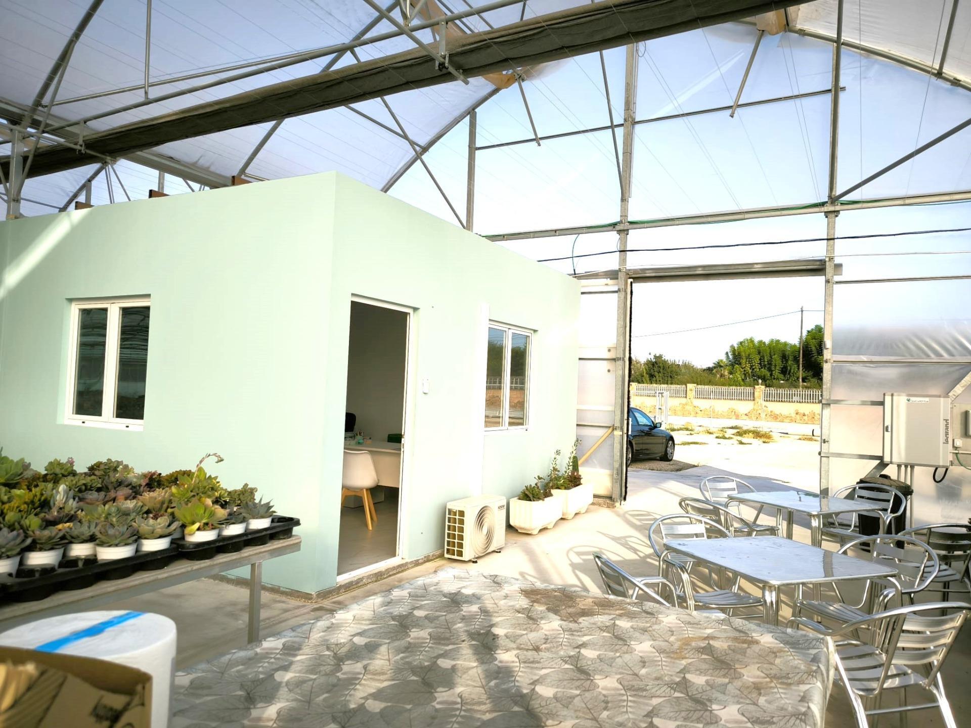 Fincas y solares-Venta-Elche-1943521-Foto-41