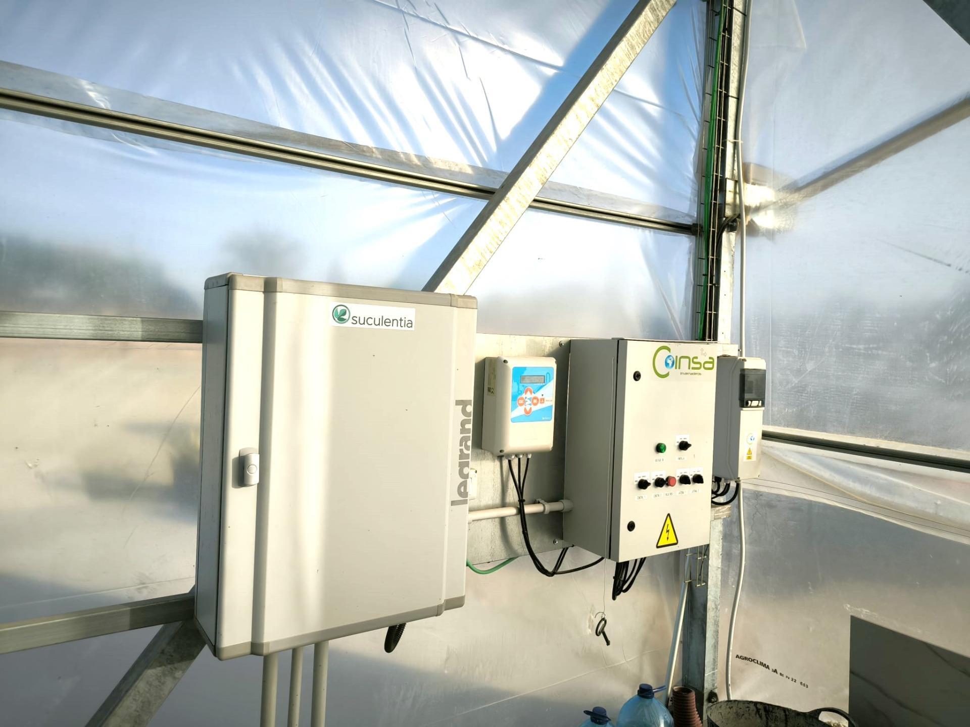 Fincas y solares-Venta-Elche-1943521-Foto-43