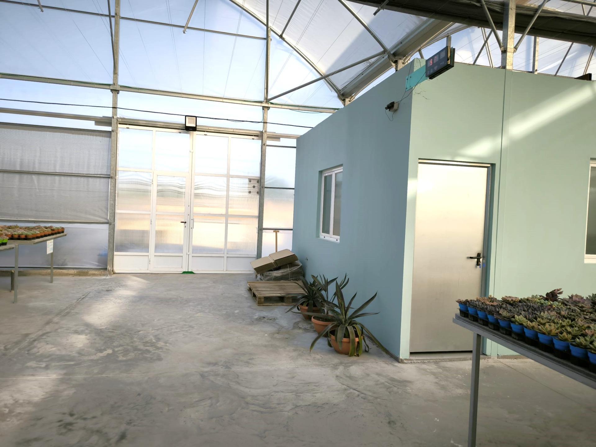 Fincas y solares-Venta-Elche-1943521-Foto-45