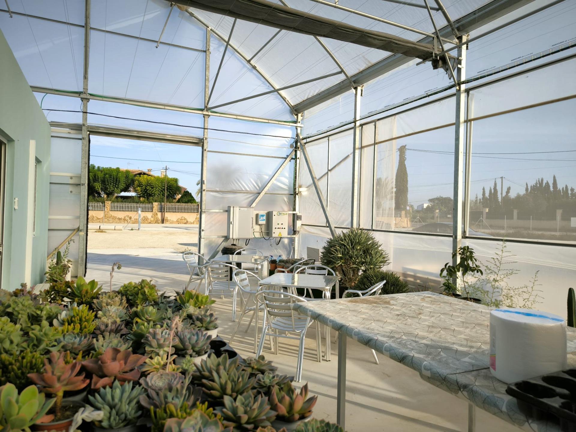 Fincas y solares-Venta-Elche-1943521-Foto-47