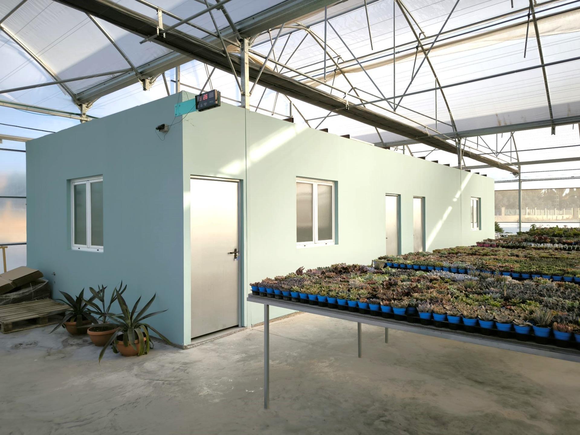 Fincas y solares-Venta-Elche-1943521-Foto-46