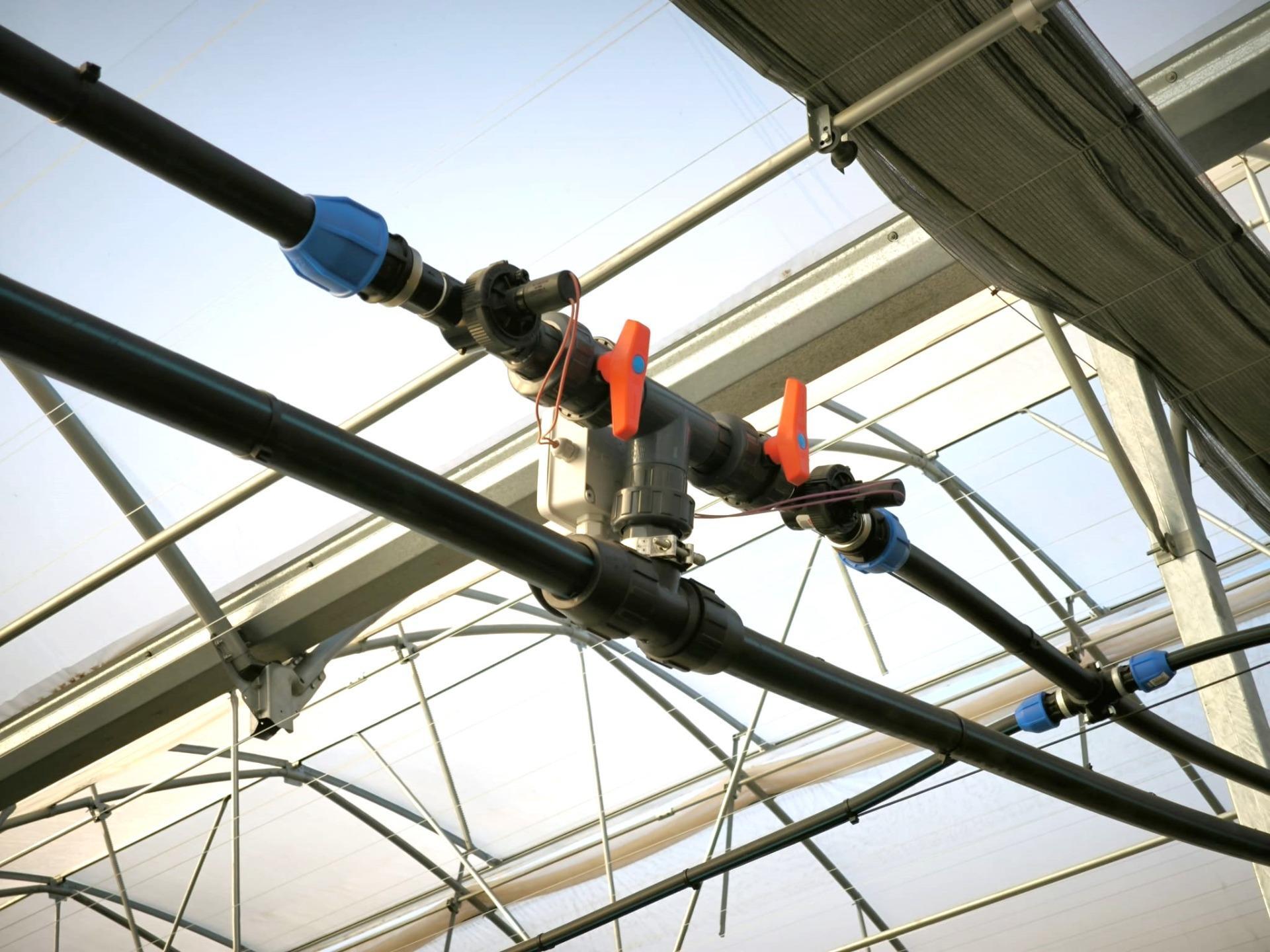 Fincas y solares-Venta-Elche-1943521-Foto-49