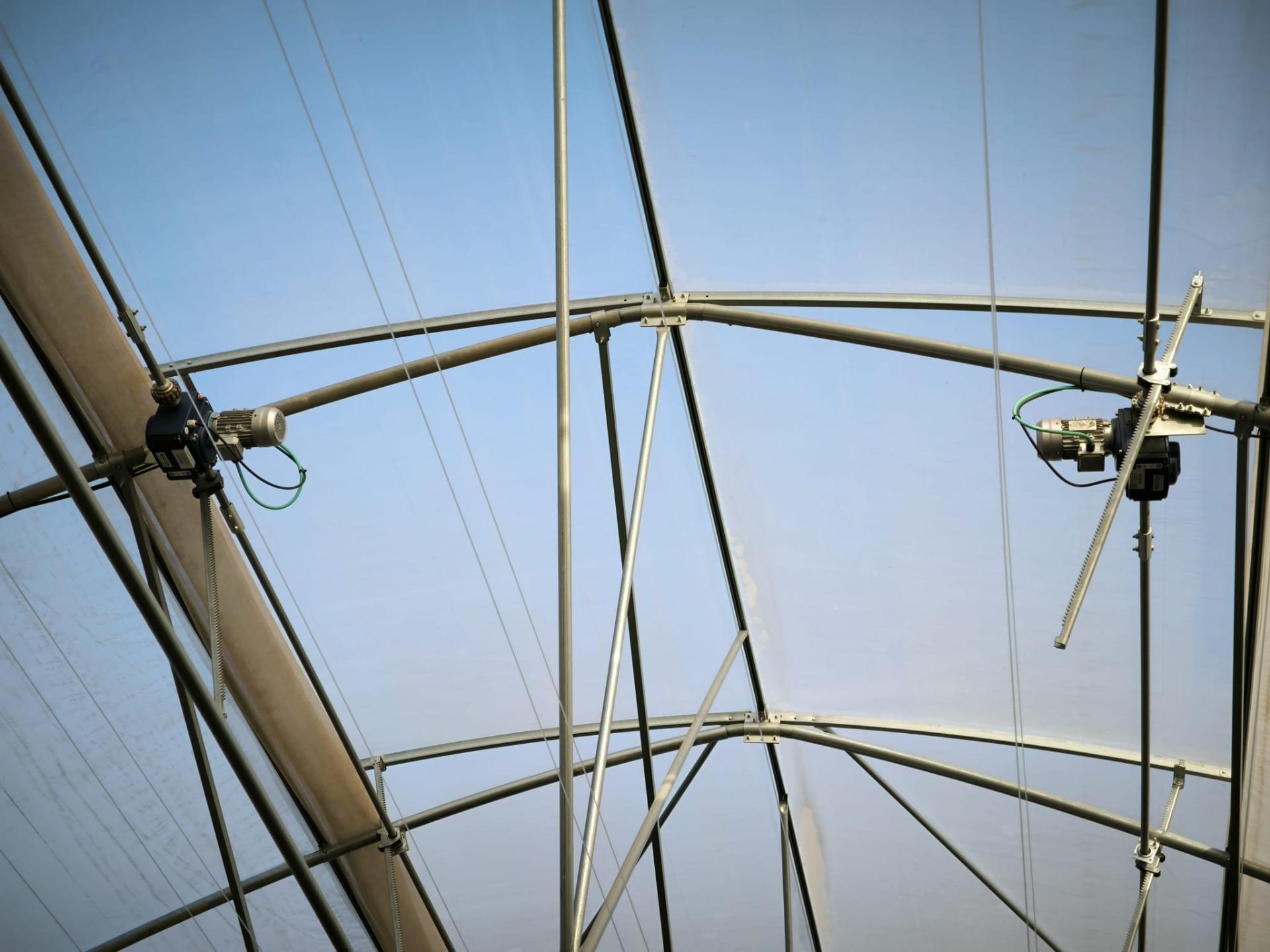 Fincas y solares-Venta-Elche-1943521-Foto-54