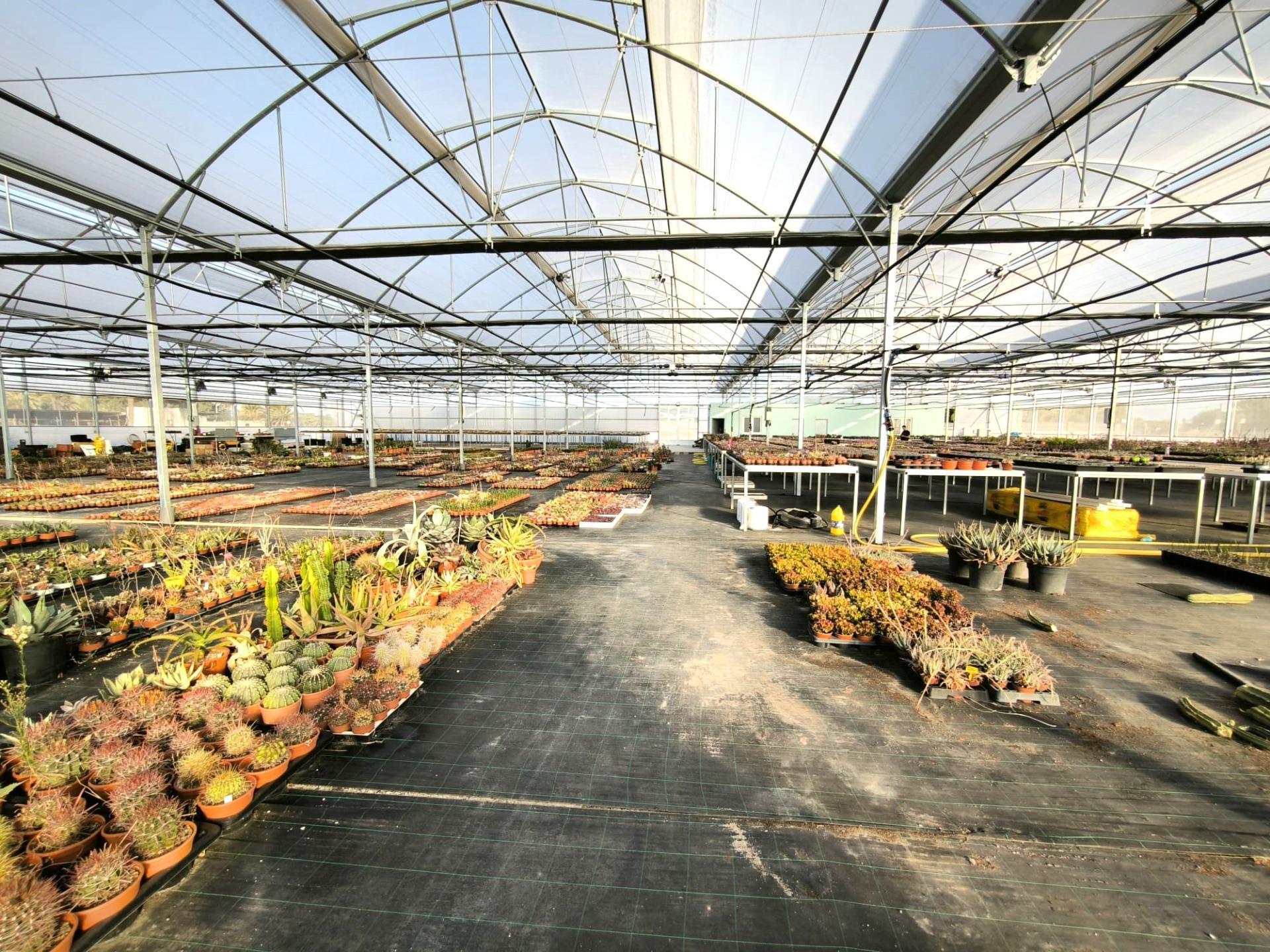 Fincas y solares-Venta-Elche-1943521-Foto-52