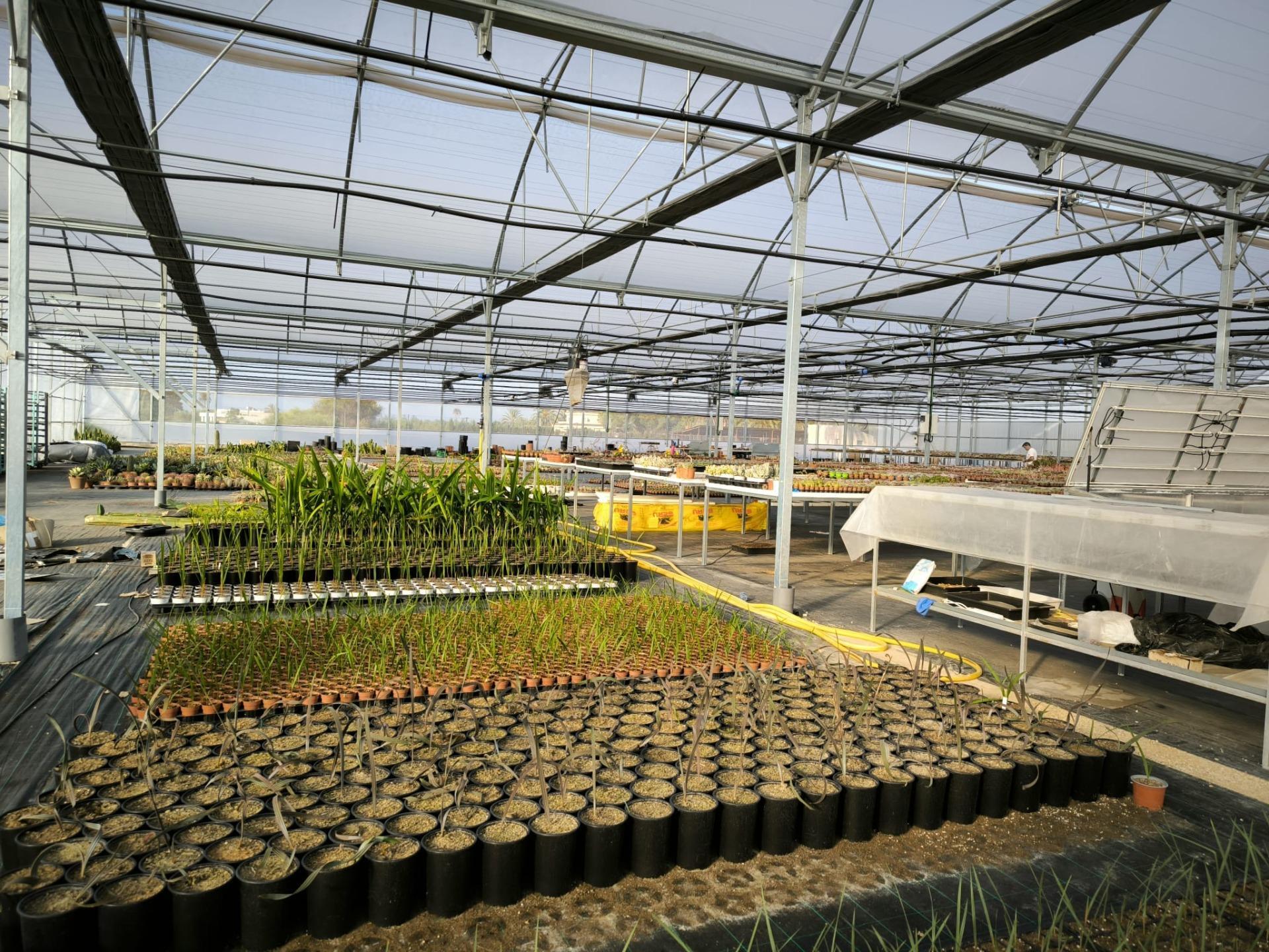 Fincas y solares-Venta-Elche-1943521-Foto-51