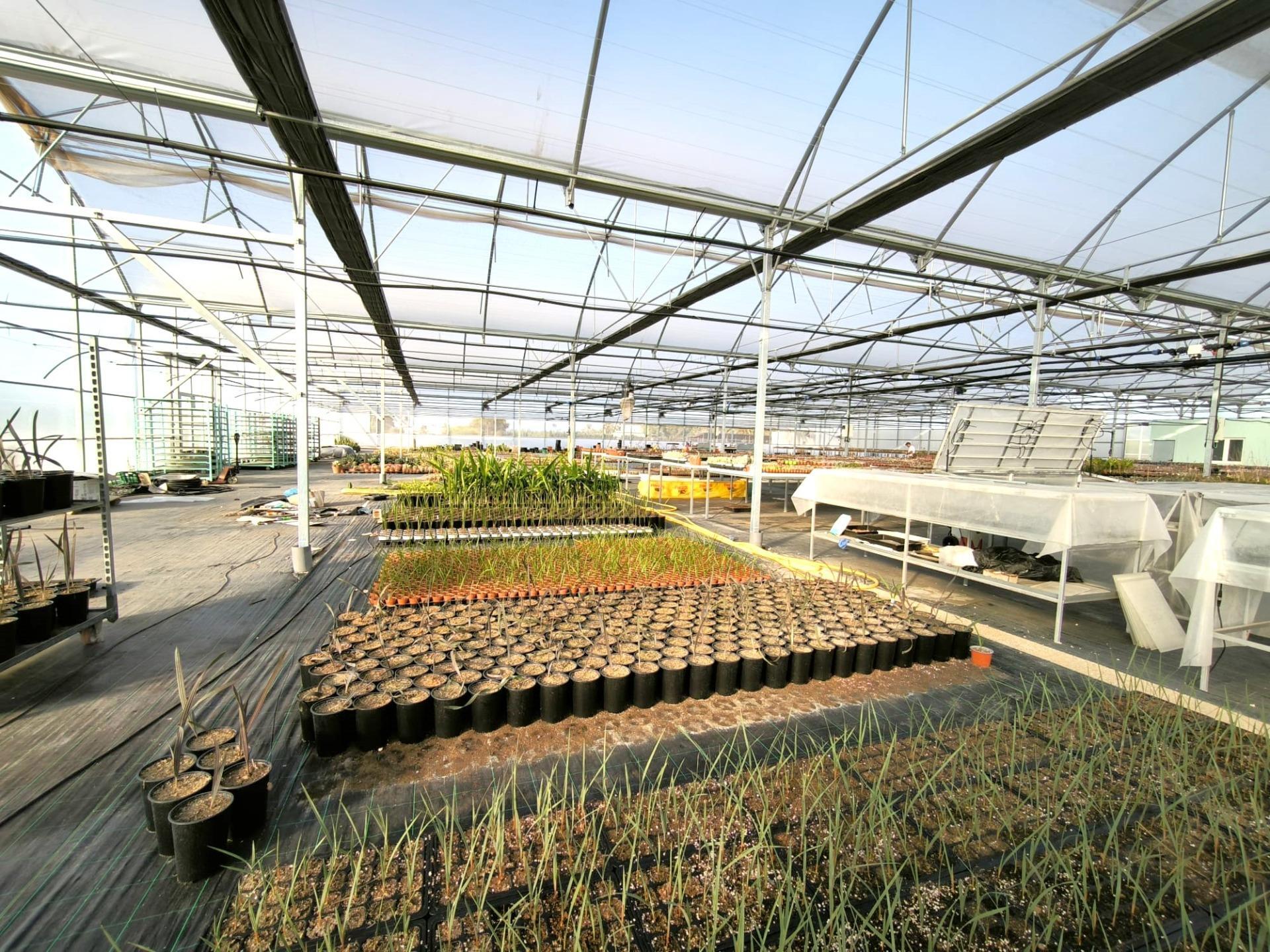 Fincas y solares-Venta-Elche-1943521-Foto-57