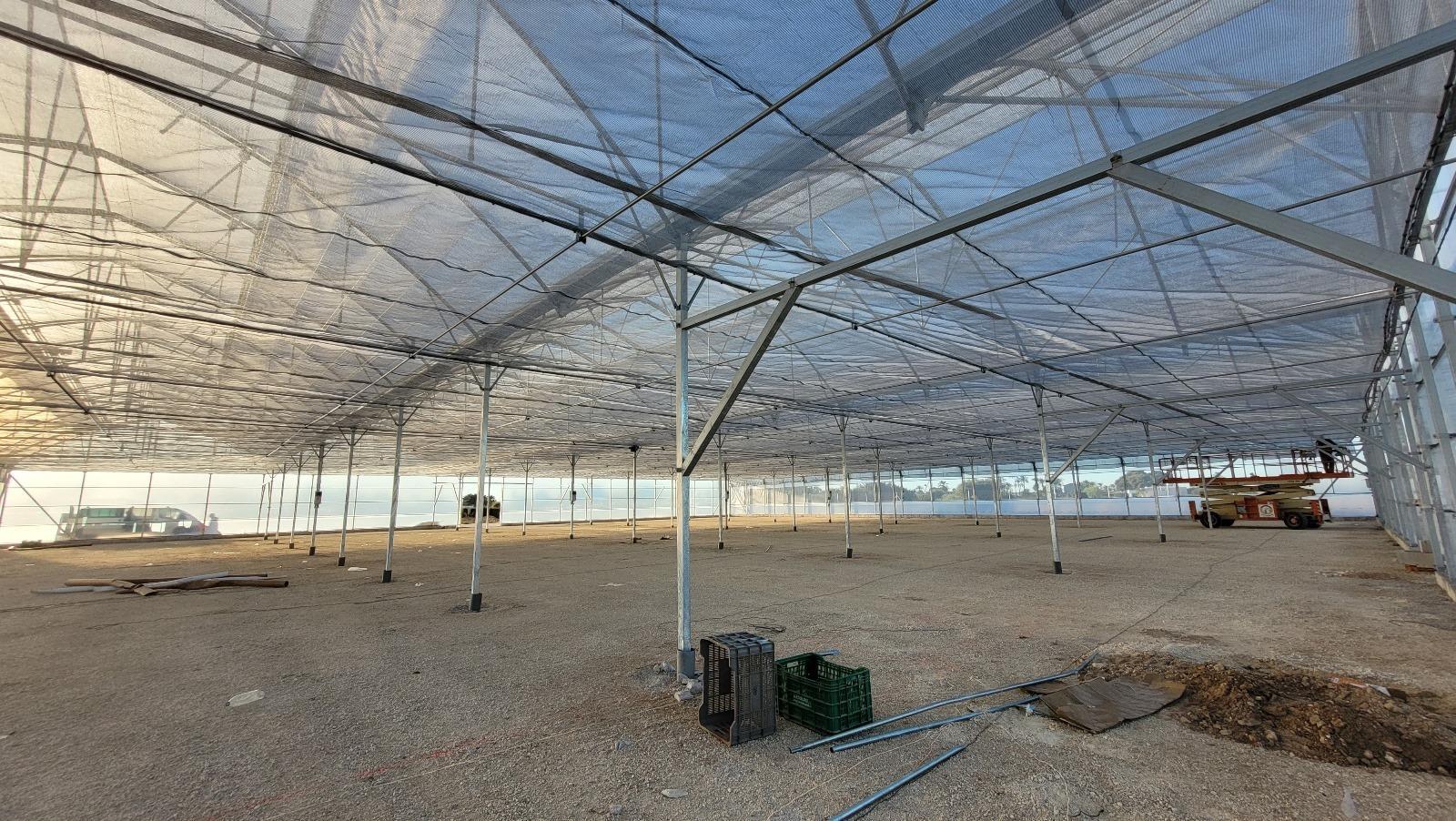 Fincas y solares-Venta-Elche-1943521-Foto-59