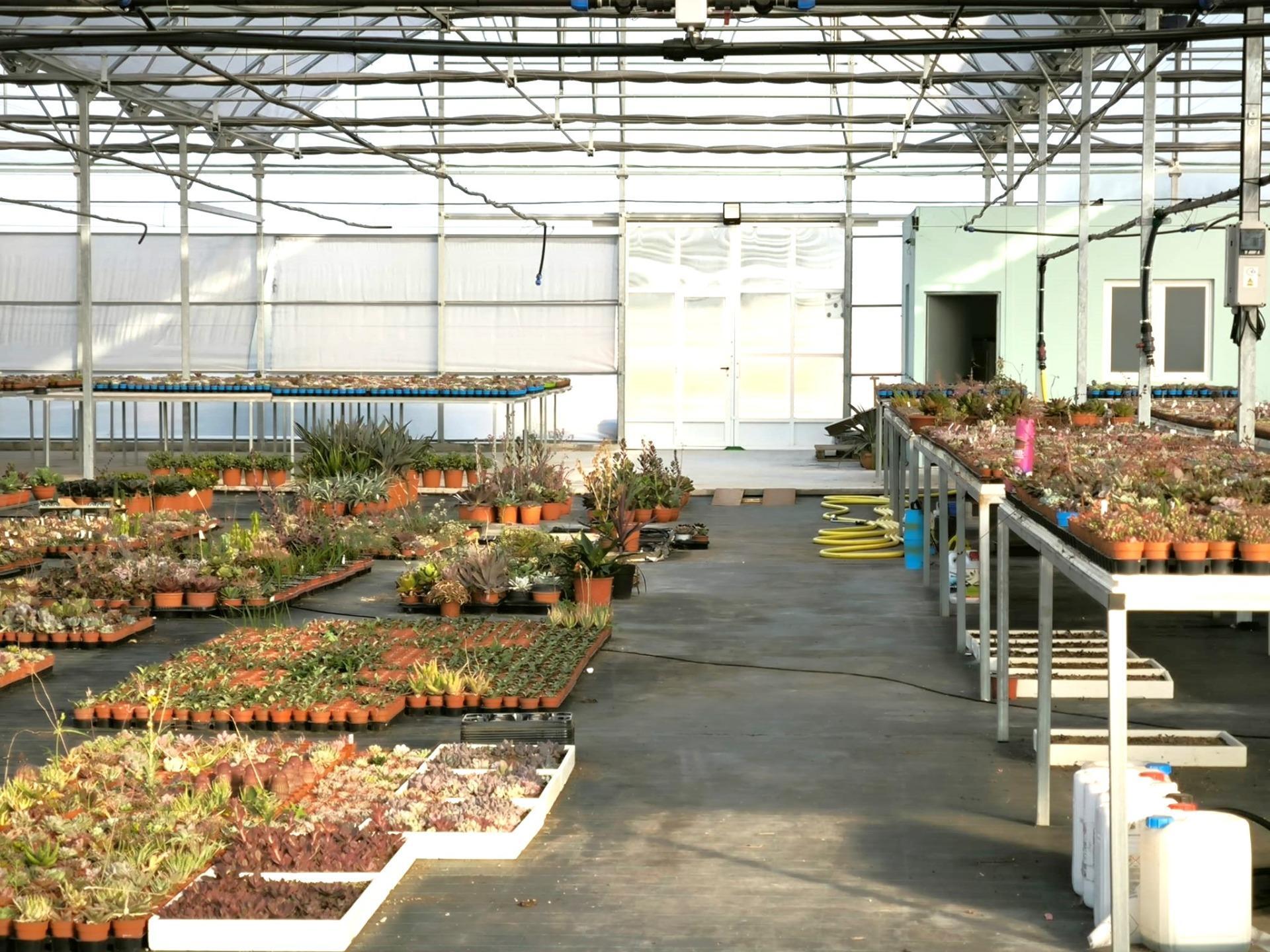 Fincas y solares-Venta-Elche-1943521-Foto-58