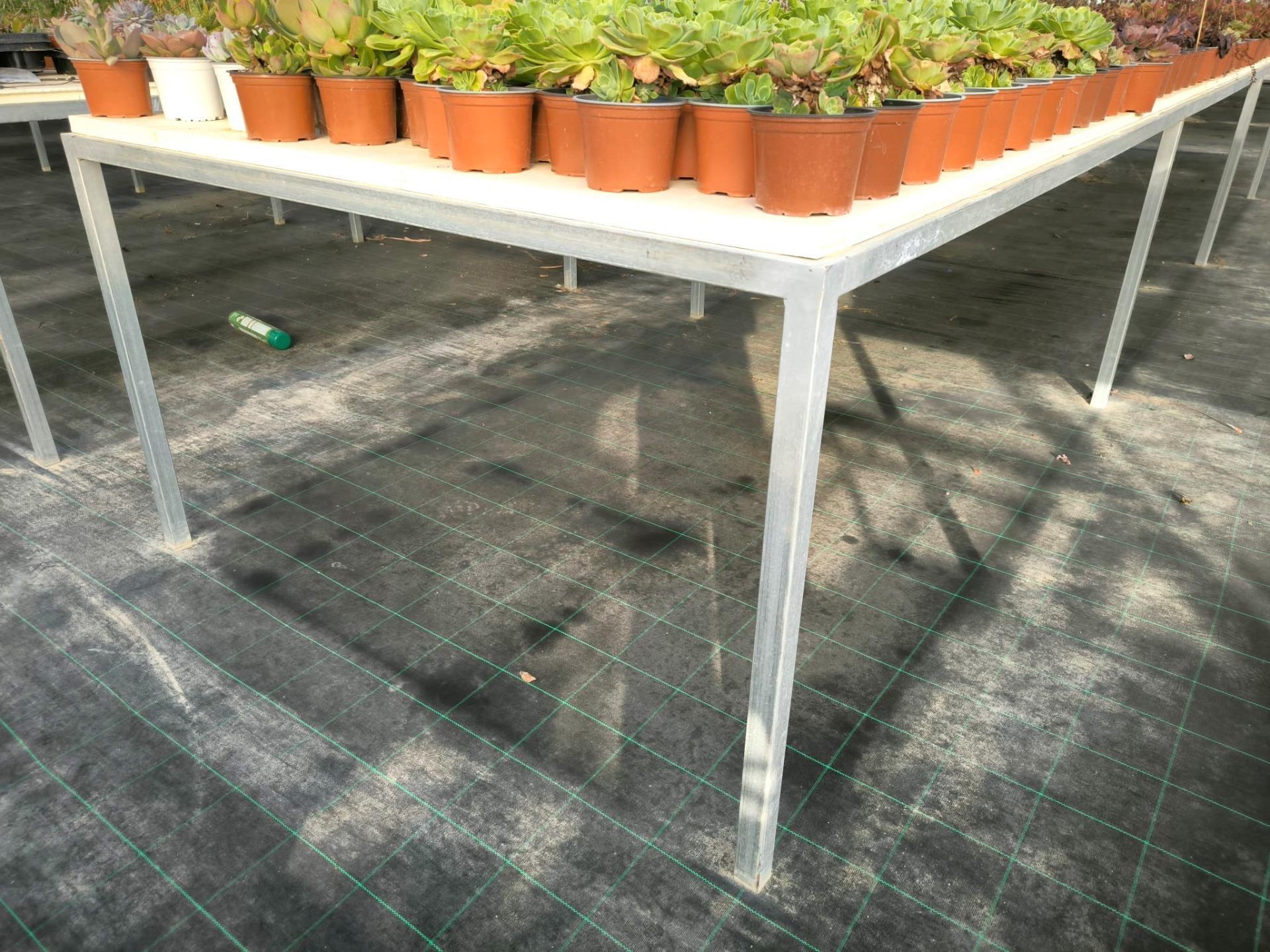 Fincas y solares-Venta-Elche-1943521-Foto-56