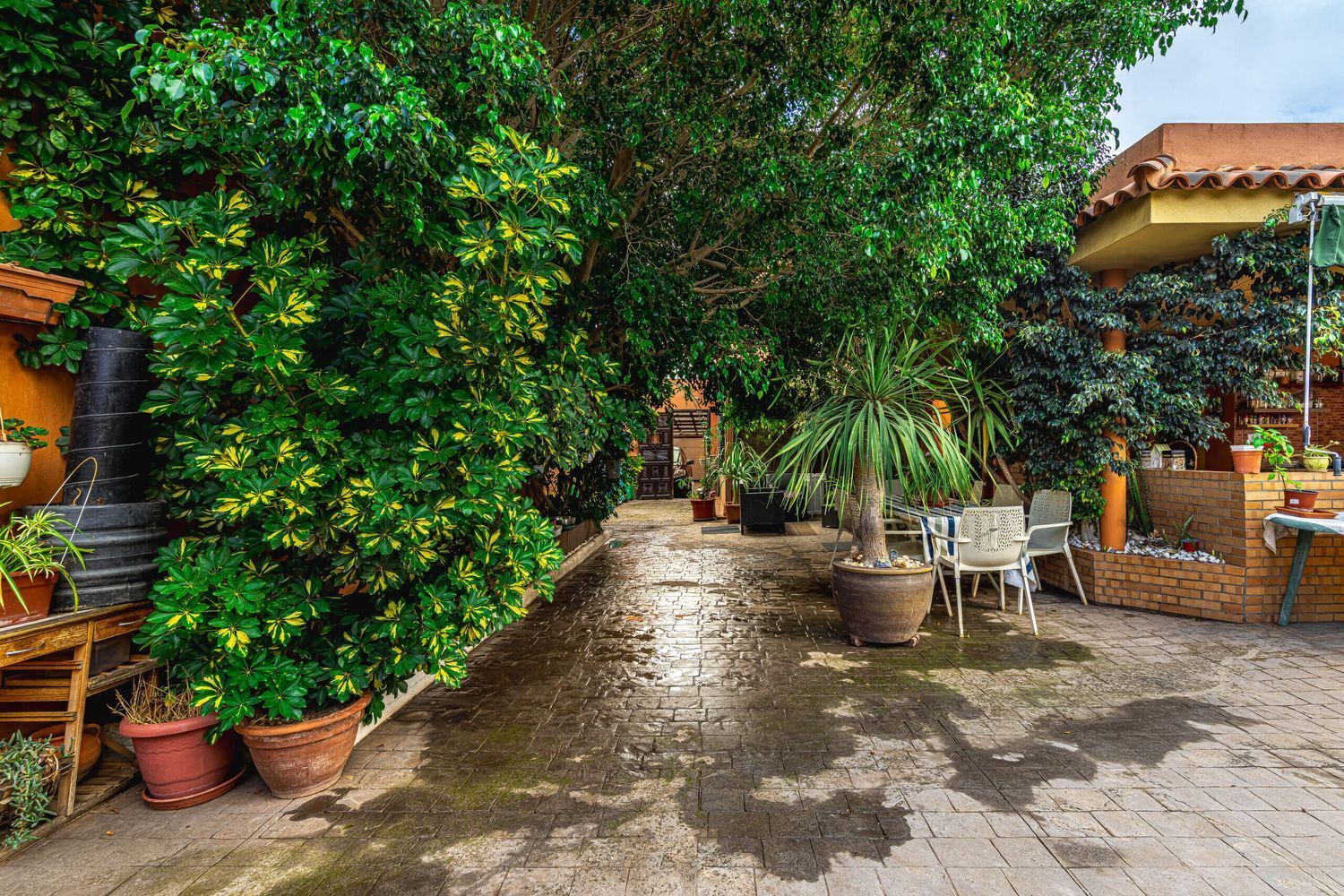Casas o chalets-Venta-San CristÃ³bal de La Laguna-1968489-Foto-39