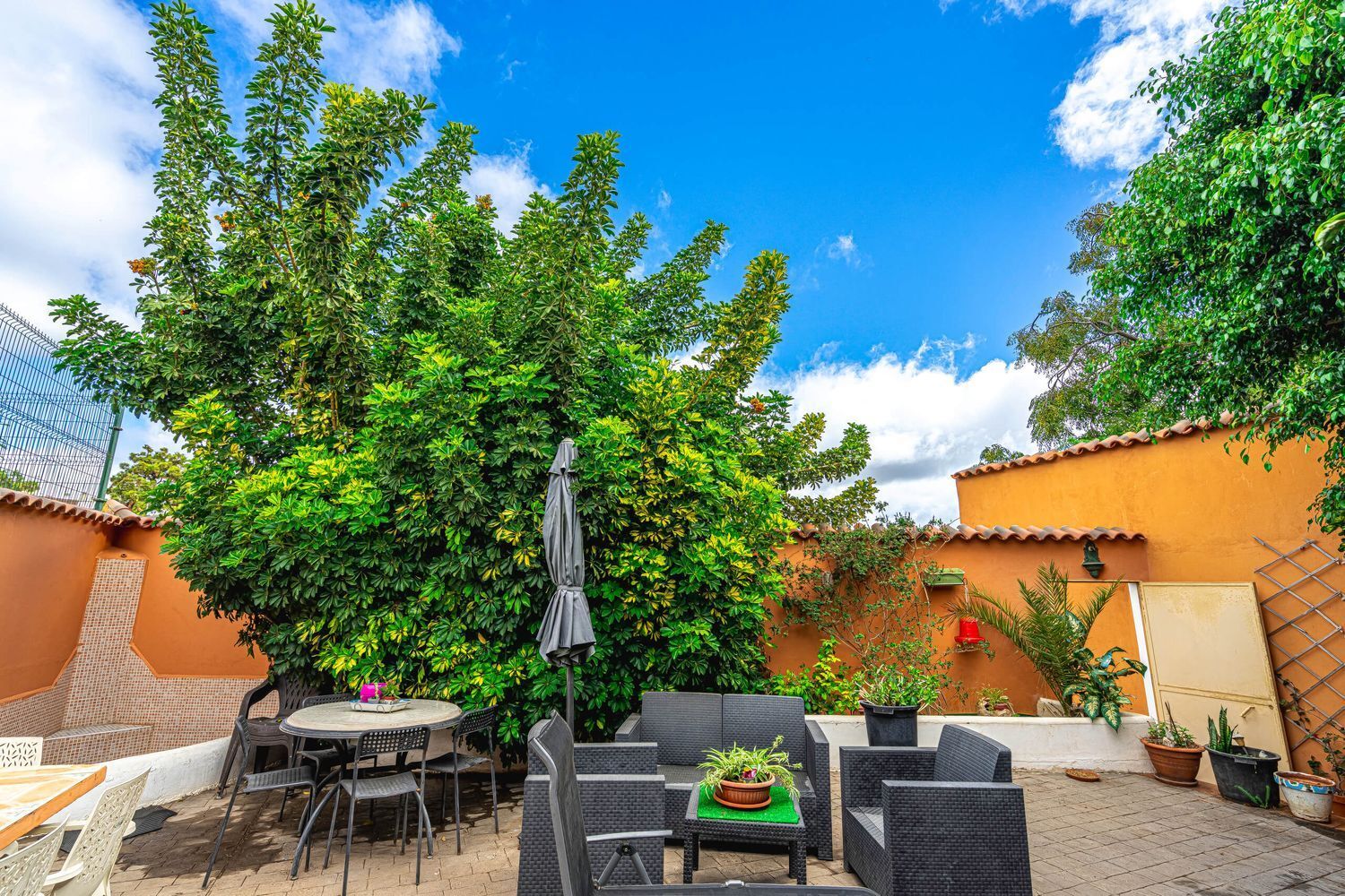 Casas o chalets-Venta-San CristÃ³bal de La Laguna-1968489-Foto-42