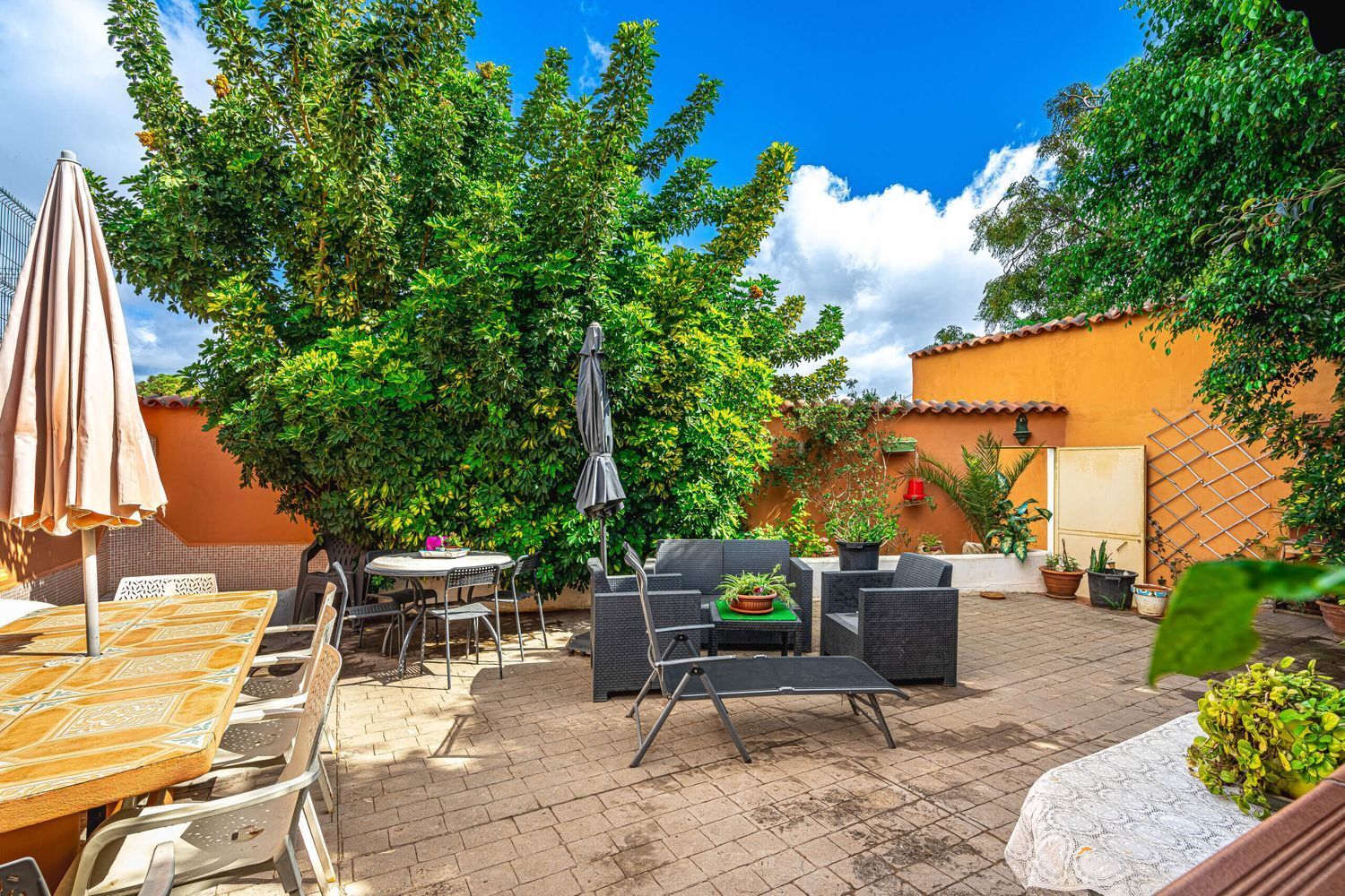 Casas o chalets-Venta-San CristÃ³bal de La Laguna-1968489-Foto-54