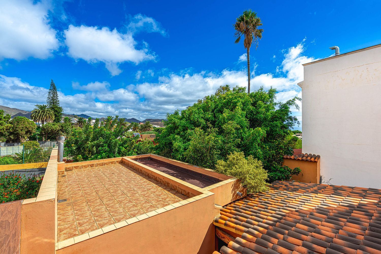 Casas o chalets-Venta-San CristÃ³bal de La Laguna-1968489-Foto-70