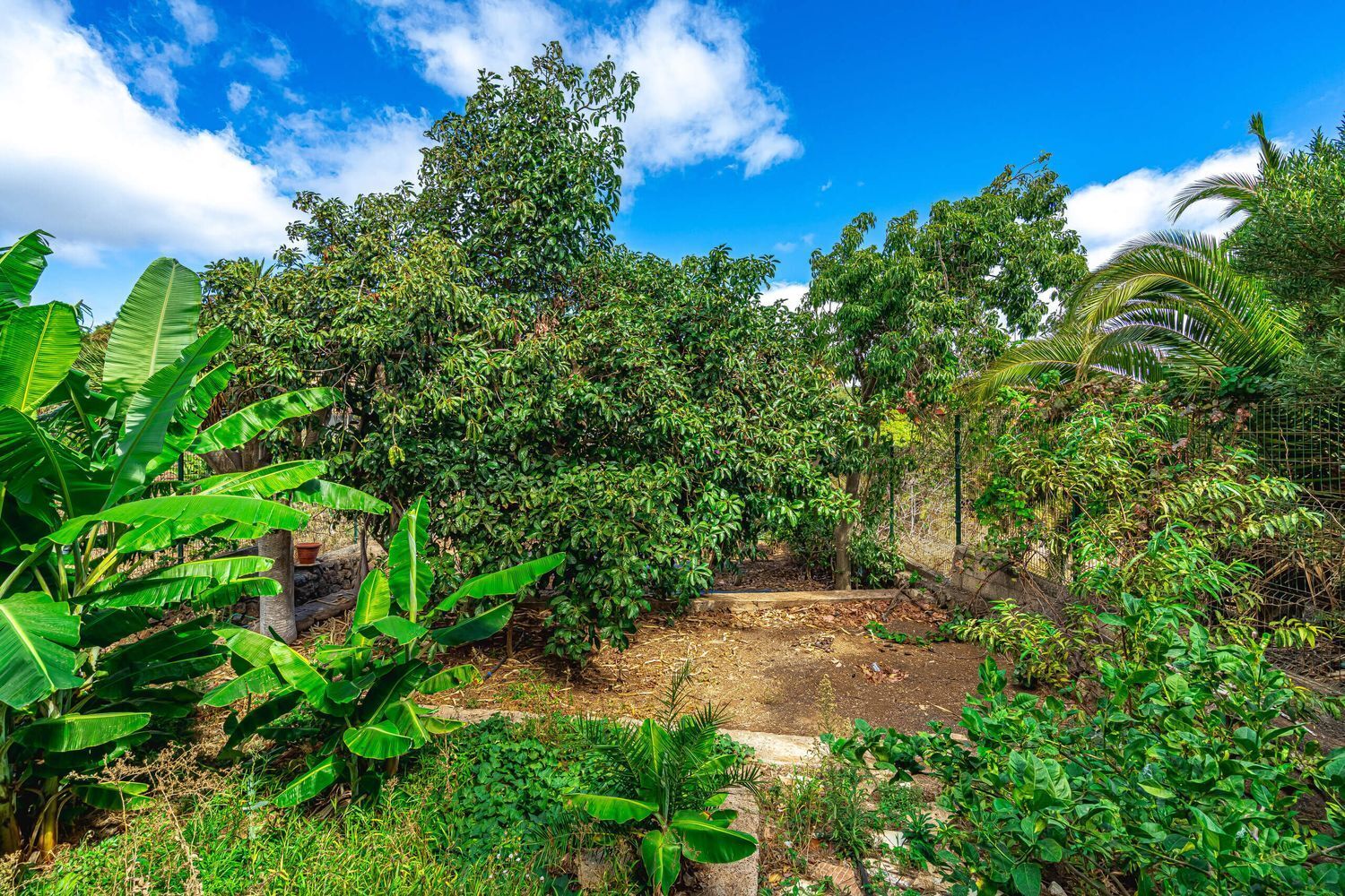 Casas o chalets-Venta-San CristÃ³bal de La Laguna-1968489-Foto-90