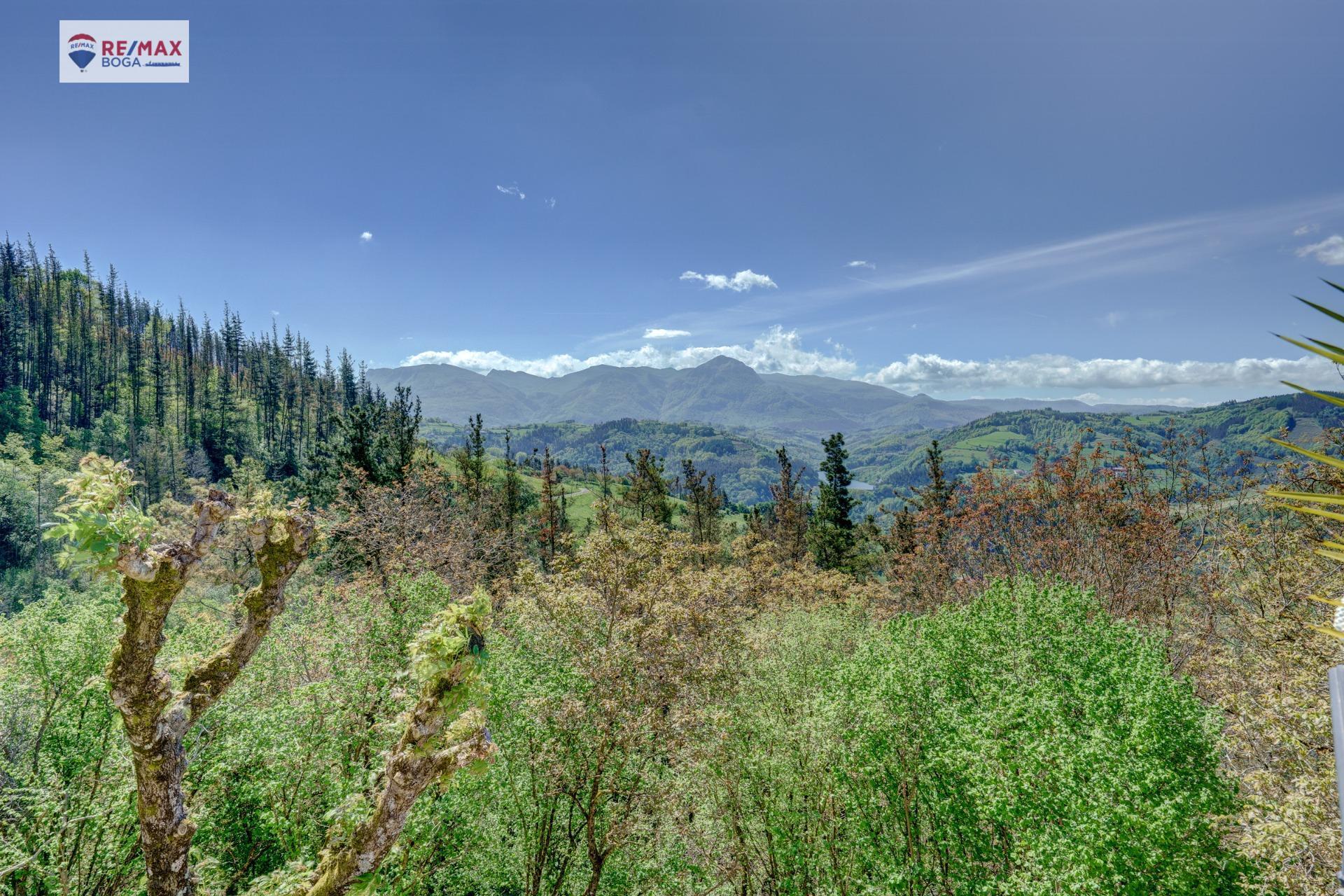 Casas o chalets-Venta-Tolosa-1728204-Foto-49