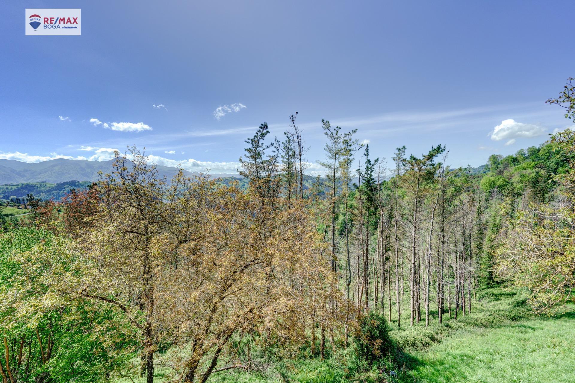 Casas o chalets-Venta-Tolosa-1728204-Foto-58