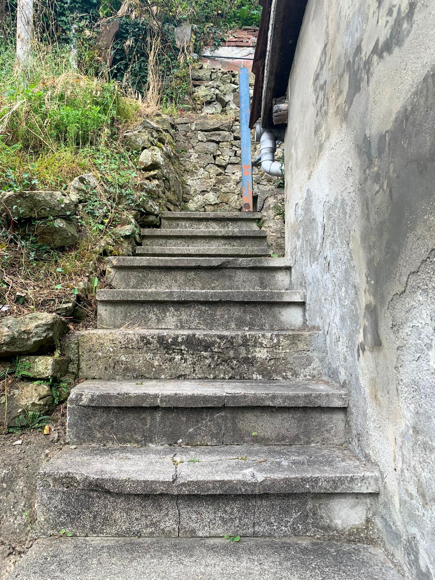 Casas o chalets-Venta-San MartÃ­n del Rey Aurelio-1968504-Foto-13