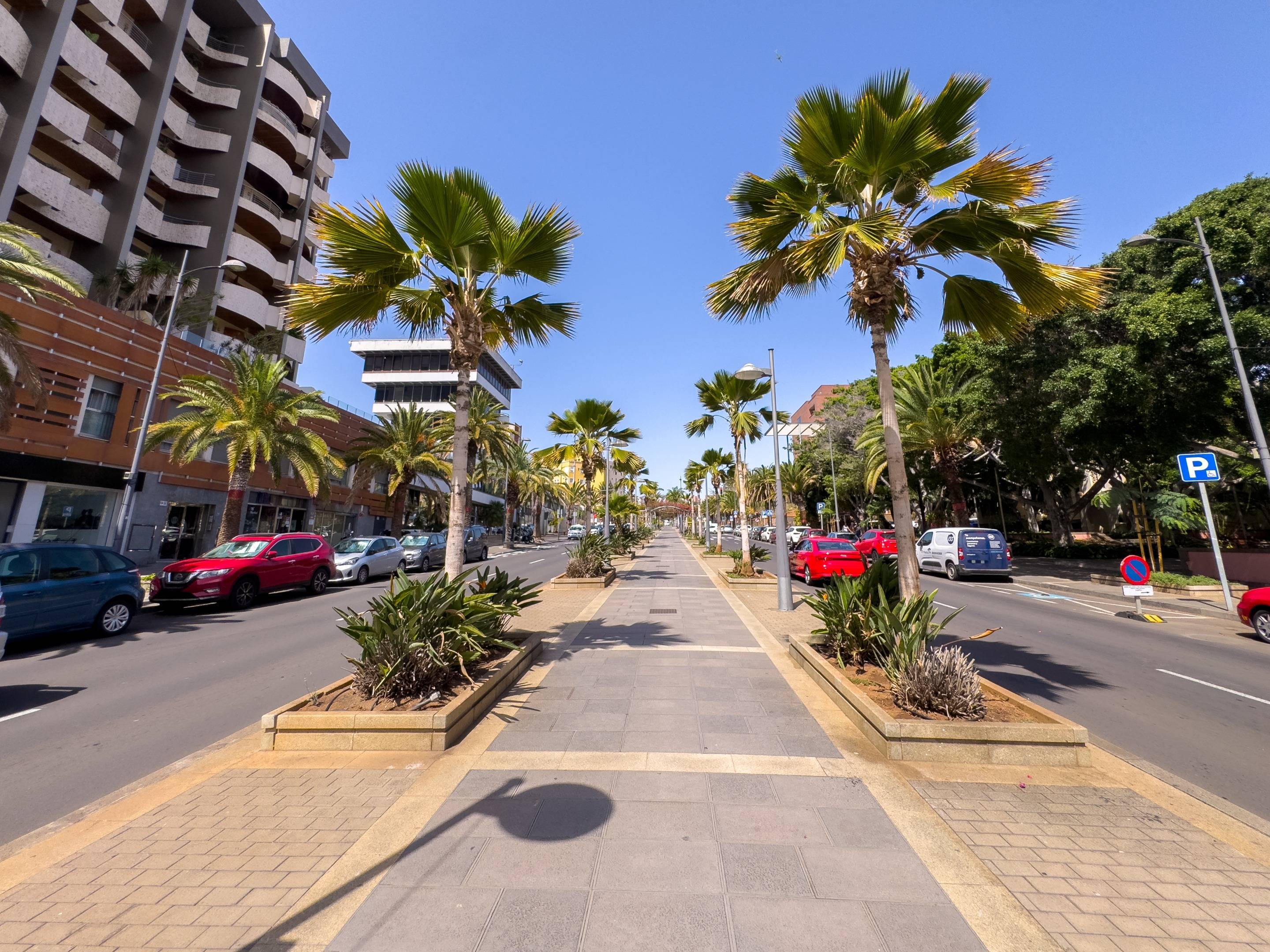 Negocios-Venta-Santa Cruz de Tenerife-1830405-Foto-4