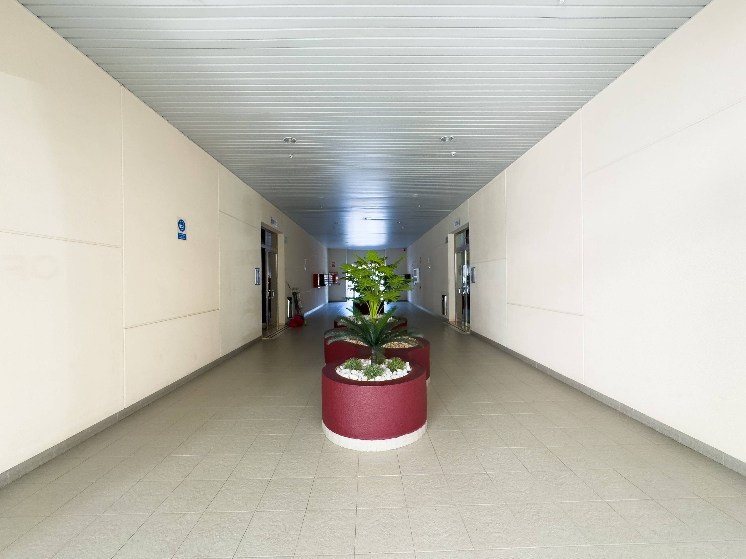 Negocios-Venta-Santa Cruz de Tenerife-1830405-Foto-6