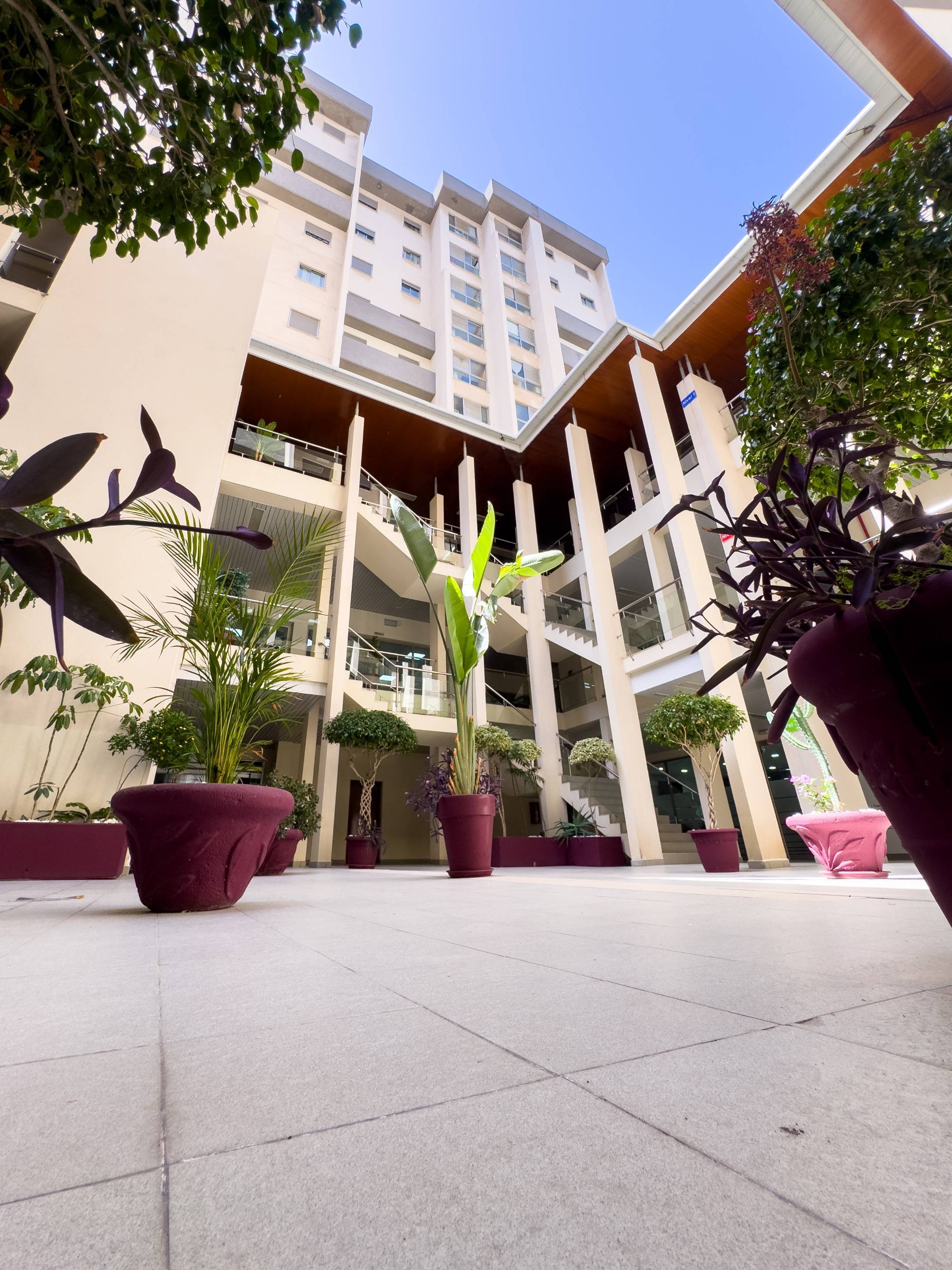 Negocios-Venta-Santa Cruz de Tenerife-1830405-Foto-7