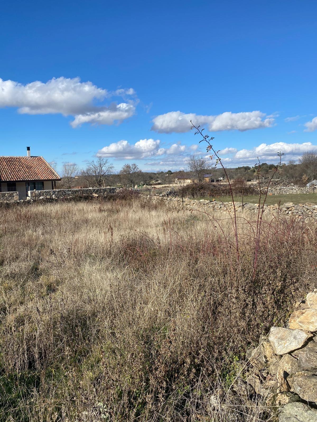 Fincas y solares-Venta-Pedraza-1564904-Foto-6