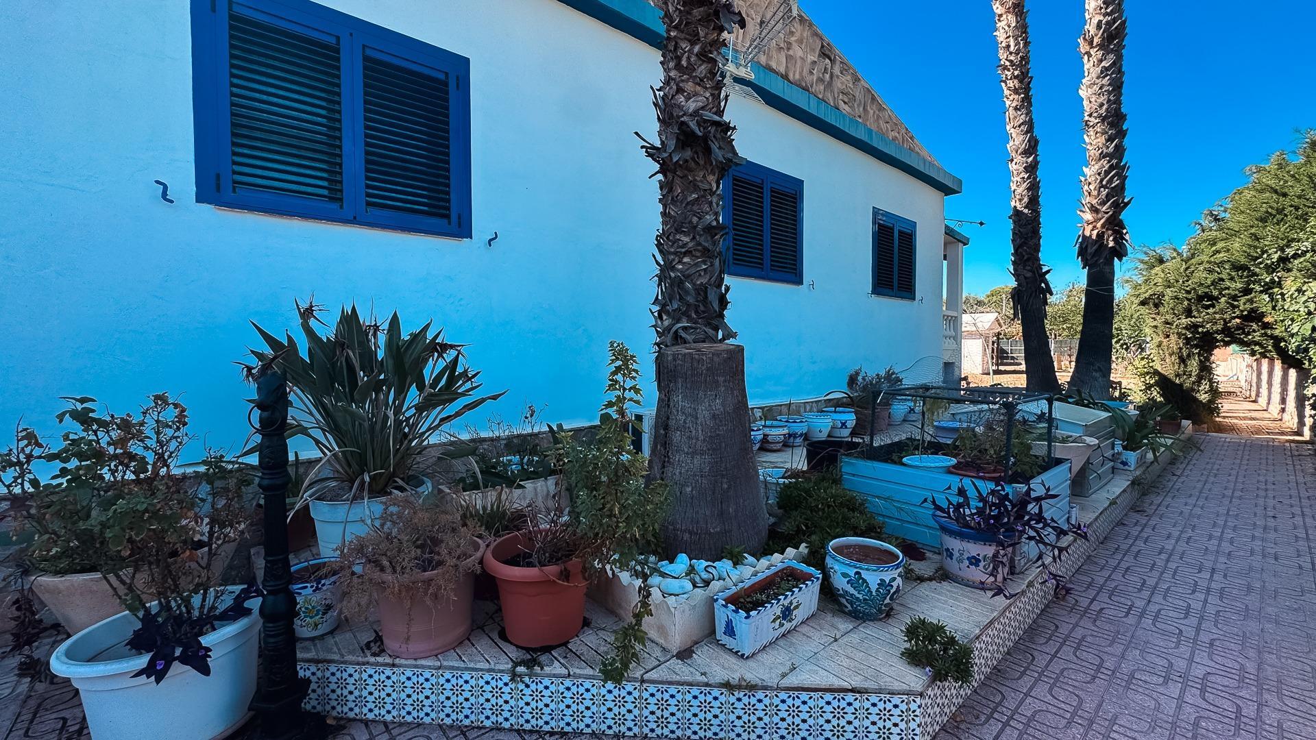 Casas o chalets-Venta-San Vicente del Raspeig-1968519-Foto-4