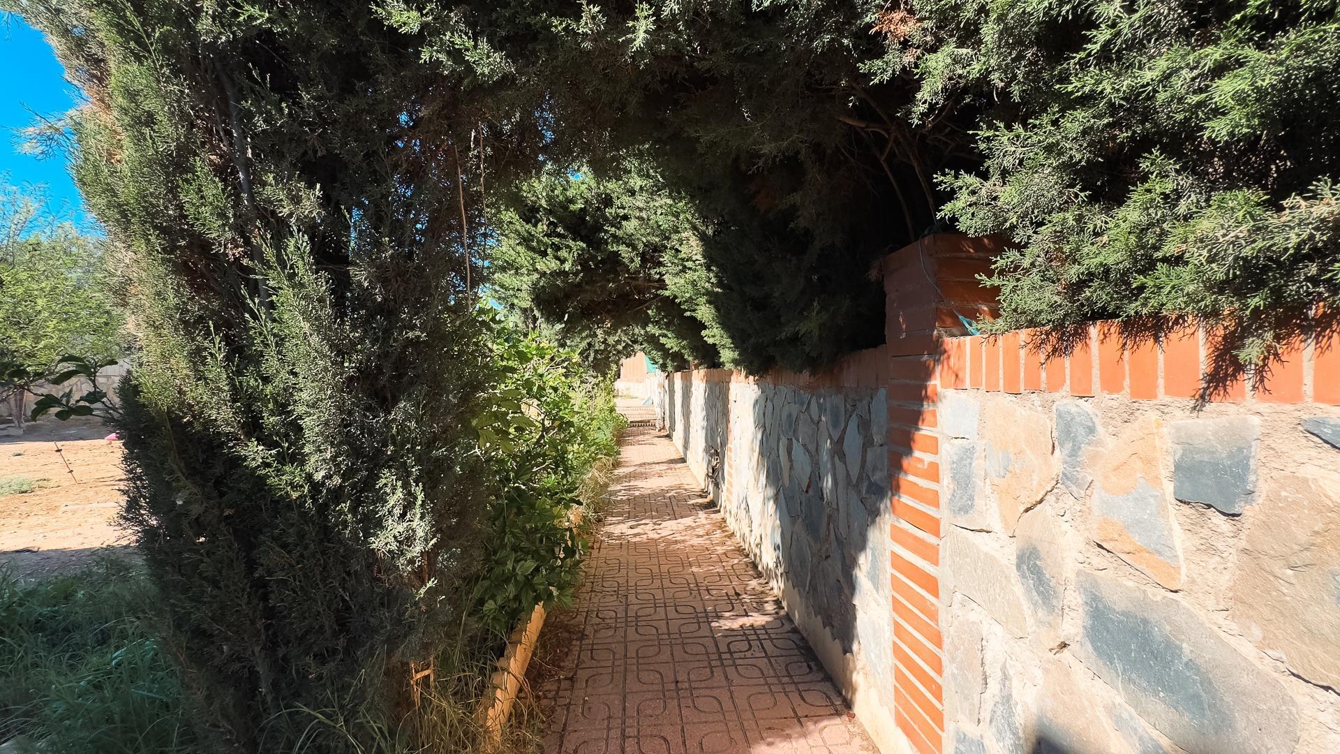 Casas o chalets-Venta-San Vicente del Raspeig-1968519-Foto-17