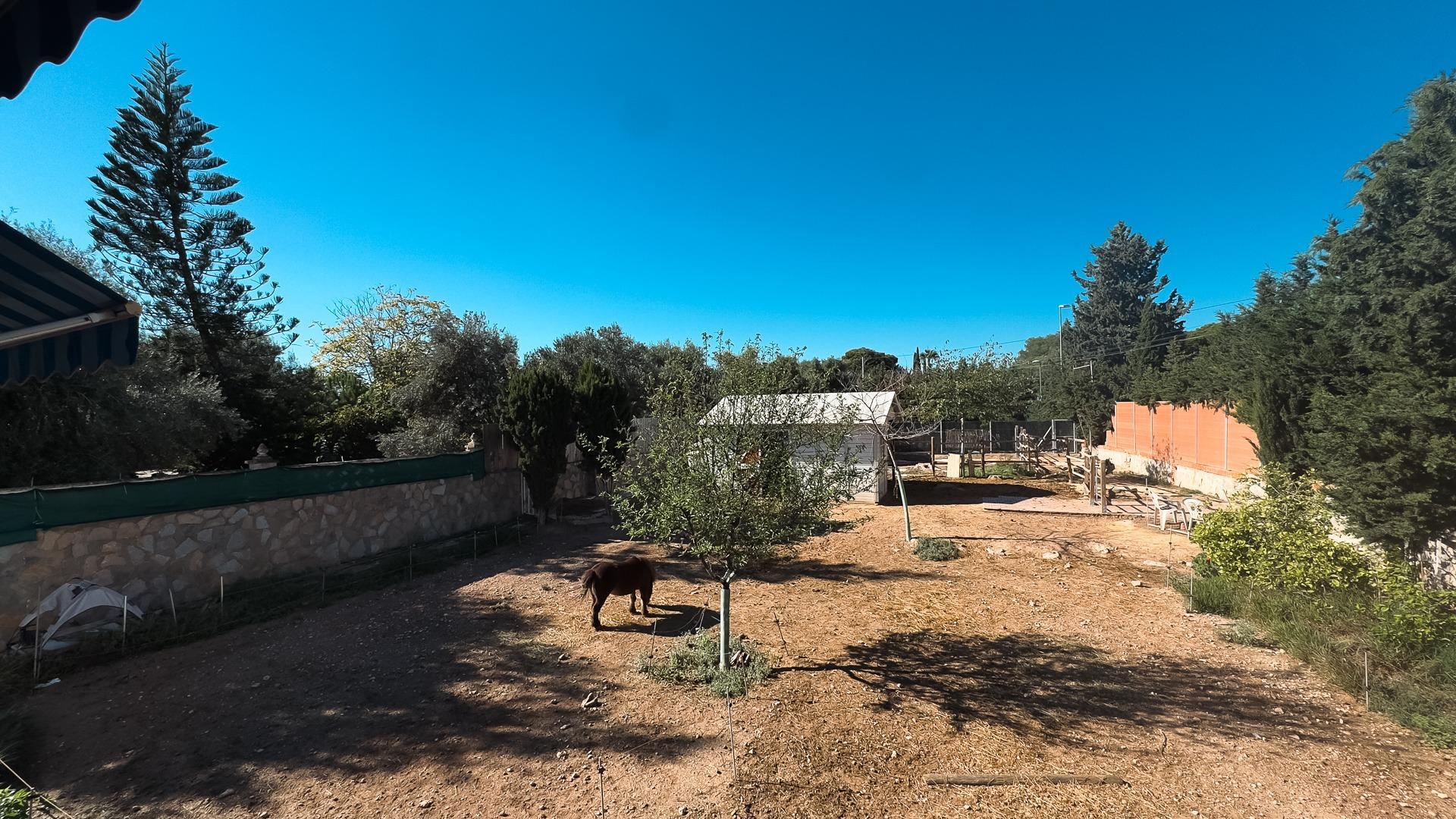 Casas o chalets-Venta-San Vicente del Raspeig-1968519-Foto-56
