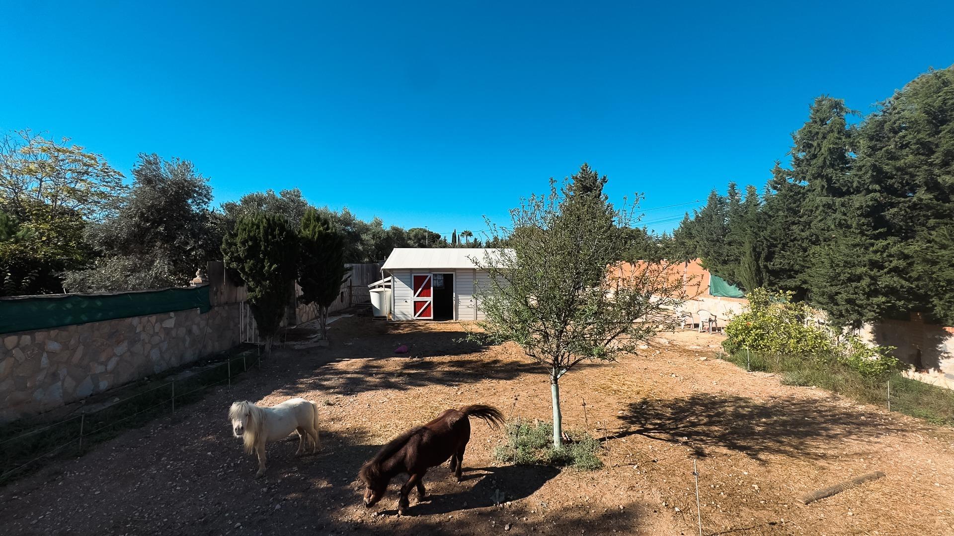 Casas o chalets-Venta-San Vicente del Raspeig-1968519-Foto-58