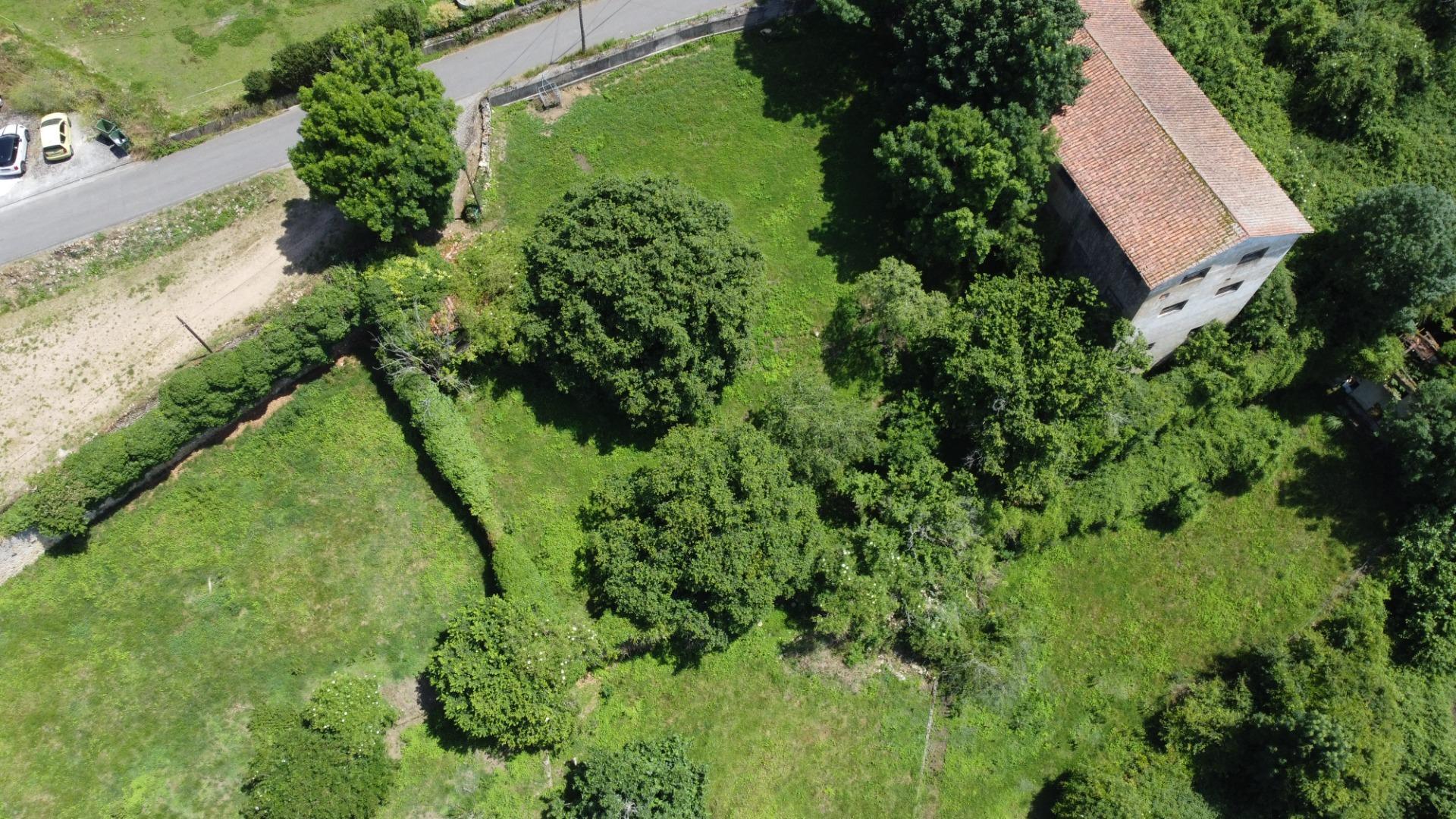 Fincas y solares-Venta-PiloÃ±a-1761201-Foto-10