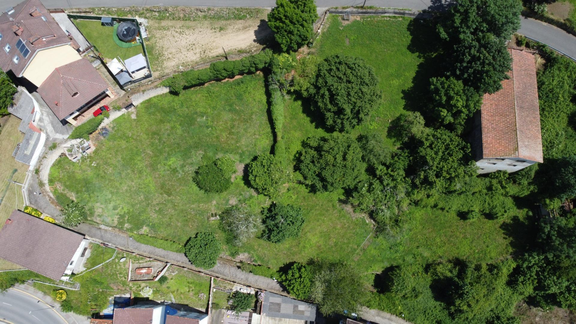 Fincas y solares-Venta-PiloÃ±a-1761201-Foto-11