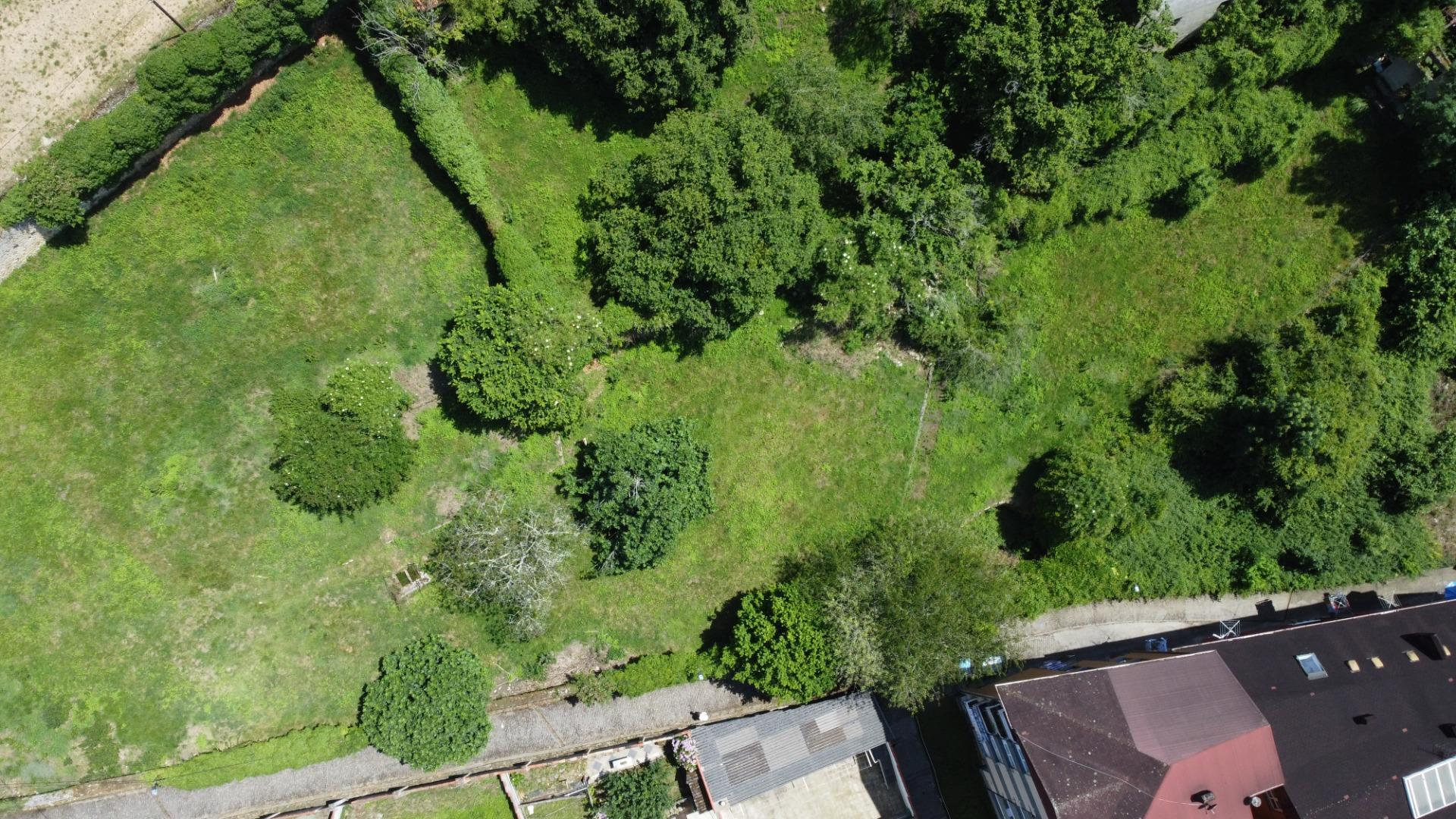 Fincas y solares-Venta-PiloÃ±a-1761201-Foto-9