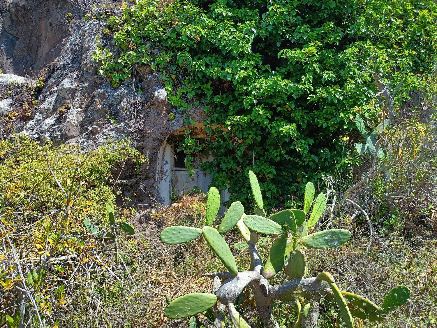 Fincas y solares-Venta-Santa MarÃ­a de GuÃ­a de Gran Canaria-1968525-Foto-2