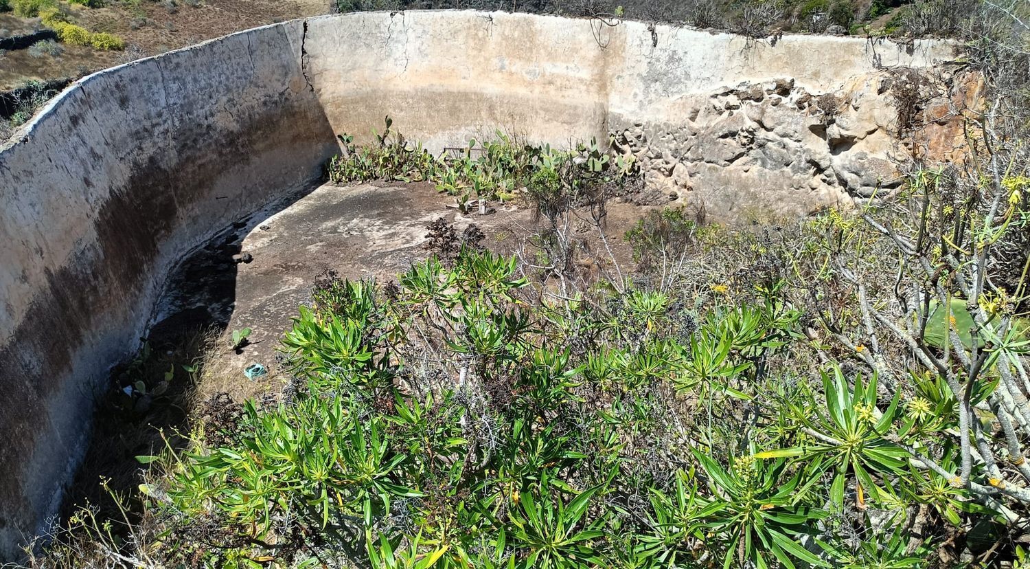 Fincas y solares-Venta-Santa MarÃ­a de GuÃ­a de Gran Canaria-1968525-Foto-3