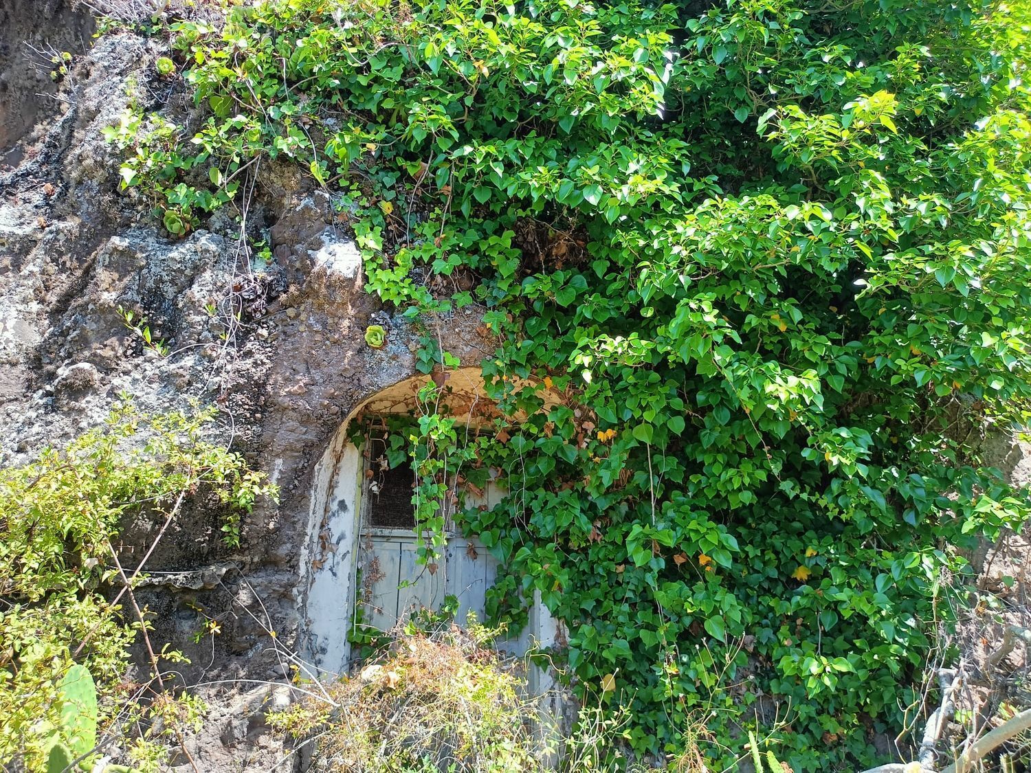 Fincas y solares-Venta-Santa MarÃ­a de GuÃ­a de Gran Canaria-1968525-Foto-4
