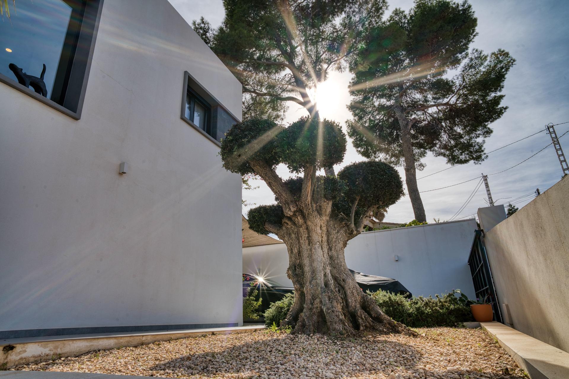 Casas o chalets-Venta-Benissa-1992082-Foto-46