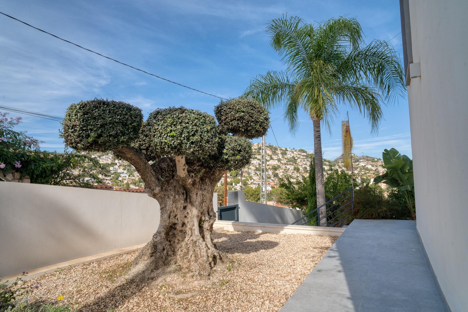 Casas o chalets-Venta-Benissa-1992082-Foto-45