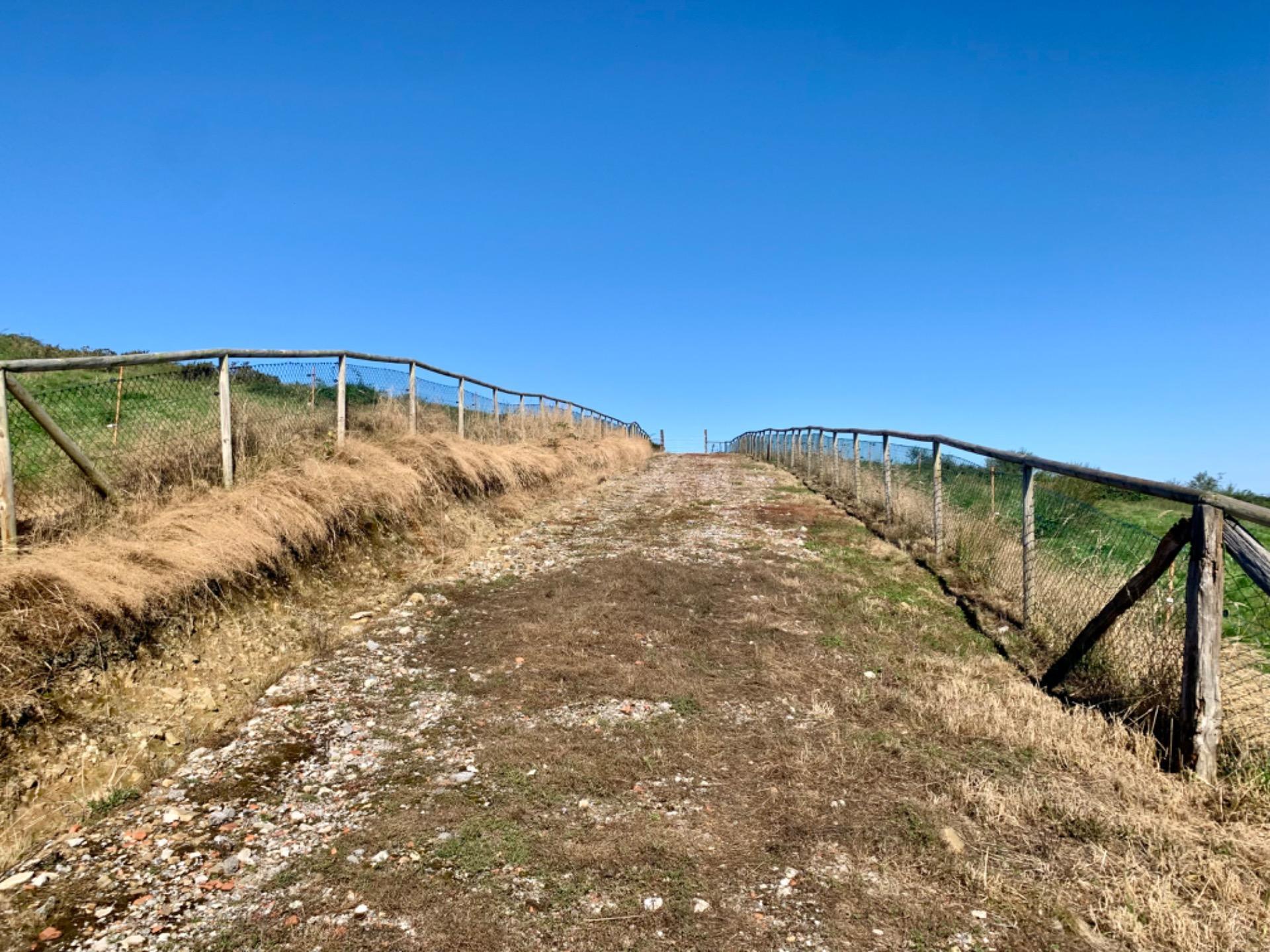 Casas o chalets-Venta-San Roque de Riomera	-1838497-Foto-46