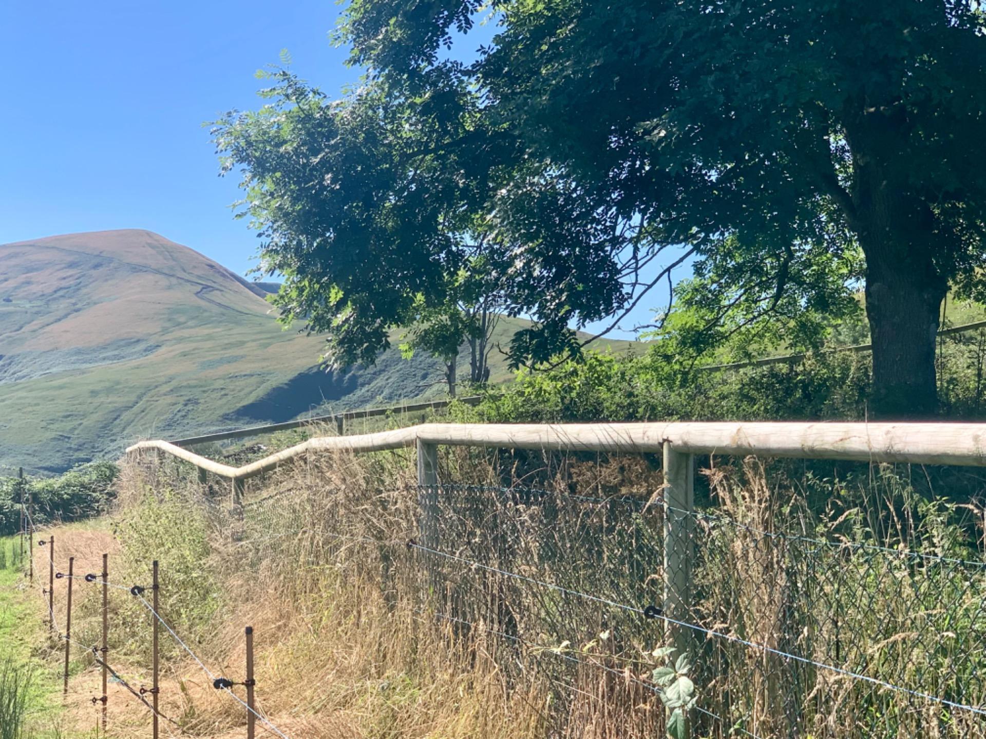 Casas o chalets-Venta-San Roque de Riomera	-1838497-Foto-50