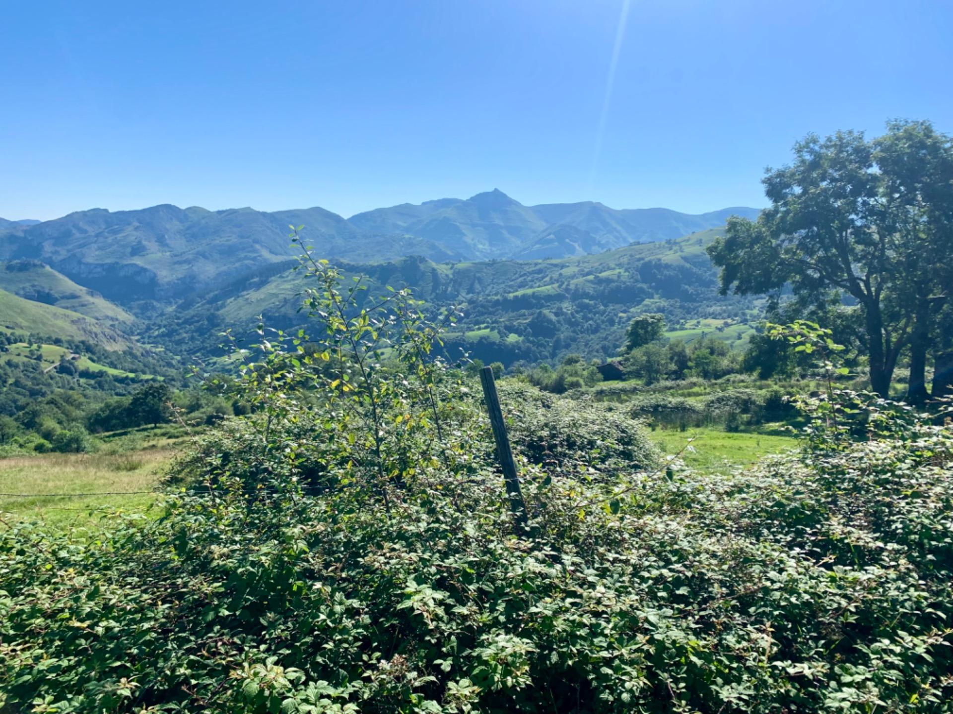 Casas o chalets-Venta-San Roque de Riomera	-1838497-Foto-58