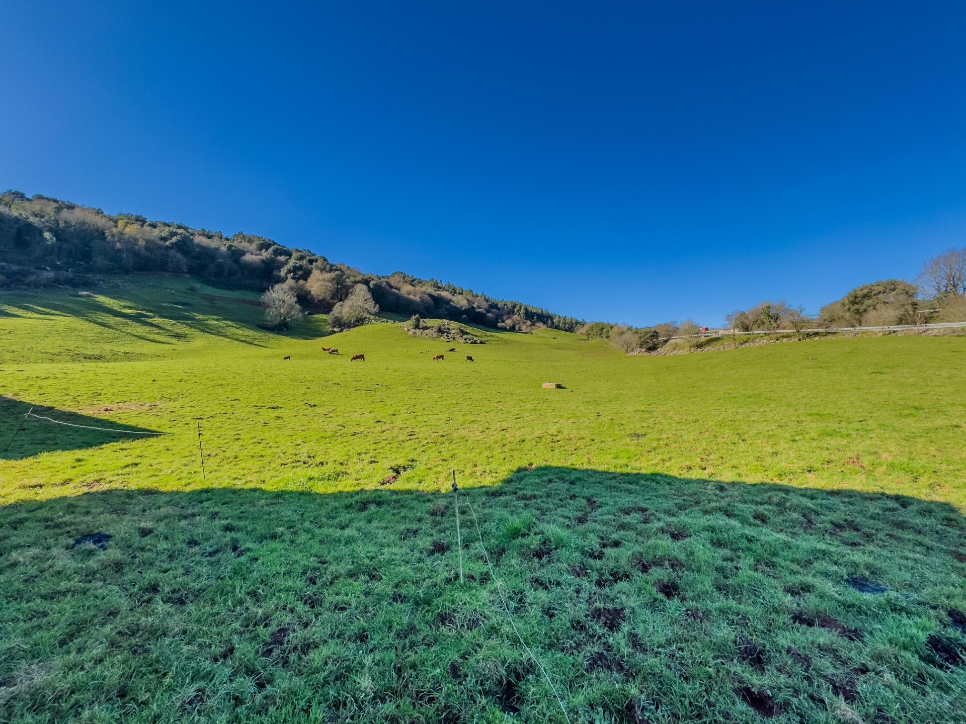 Casas o chalets-Venta-Hazas de Cesto-1537988-Foto-41