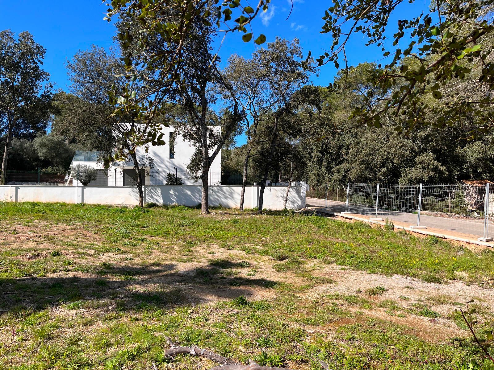 Fincas y solares-Venta-Sa Pobla-1659770-Foto-4