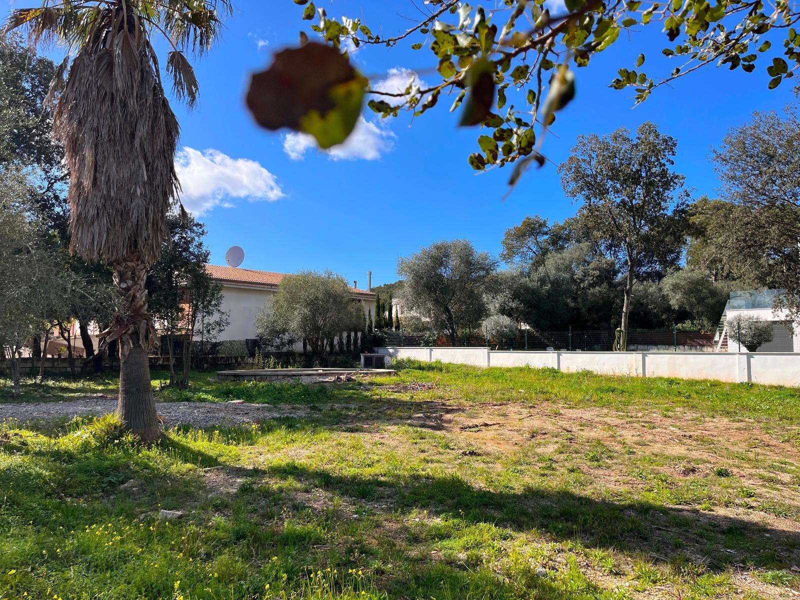 Fincas y solares-Venta-Sa Pobla-1659770-Foto-6