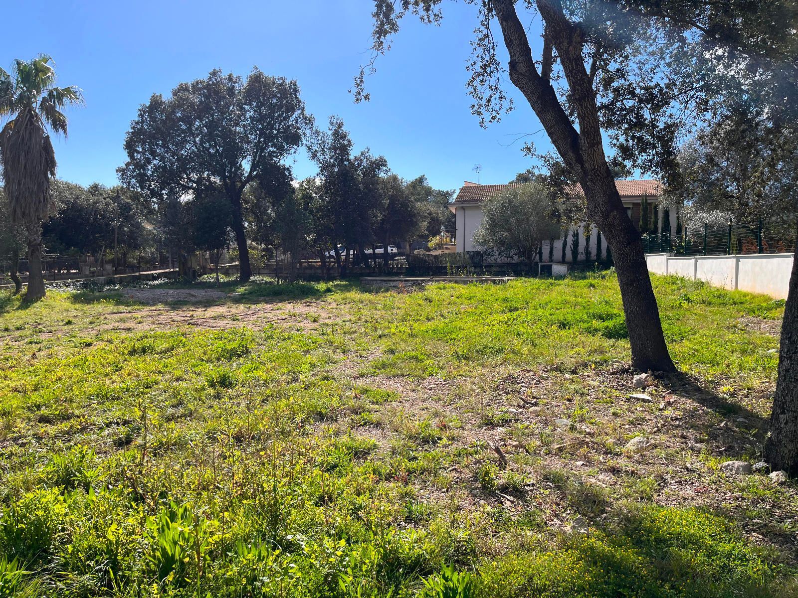 Fincas y solares-Venta-Sa Pobla-1659770-Foto-15