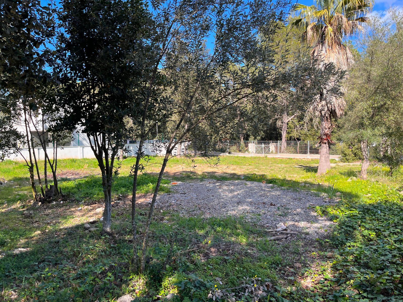 Fincas y solares-Venta-Sa Pobla-1659770-Foto-12