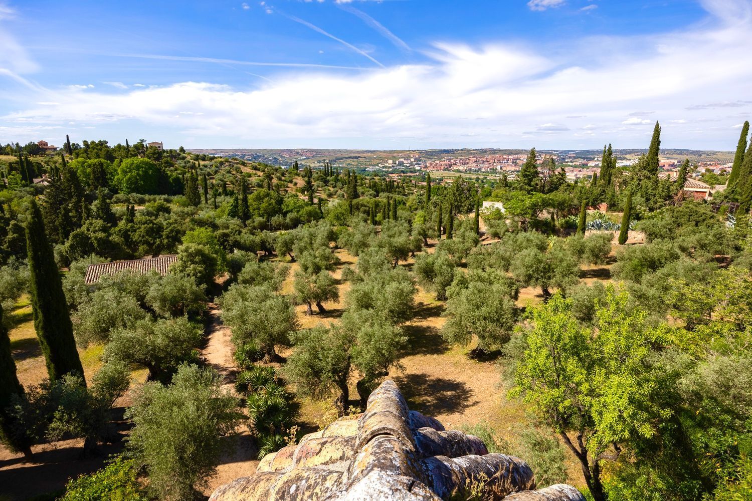 Casas o chalets-Venta-Toledo-1744111-Foto-27