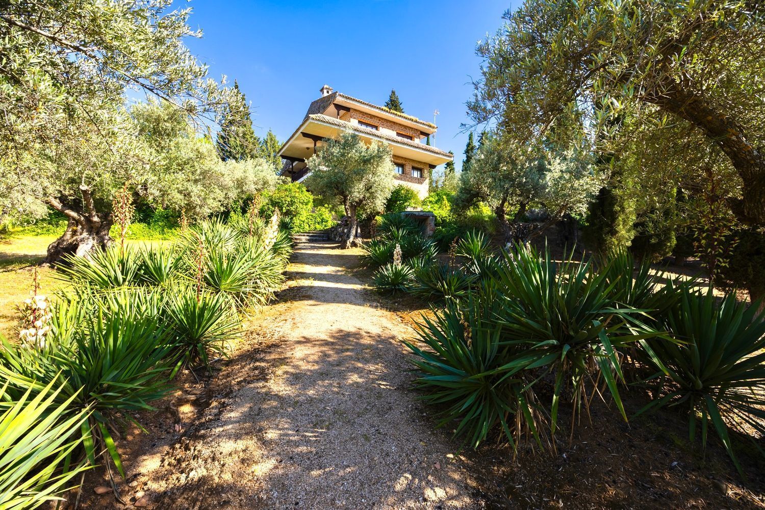 Casas o chalets-Venta-Toledo-1744111-Foto-31