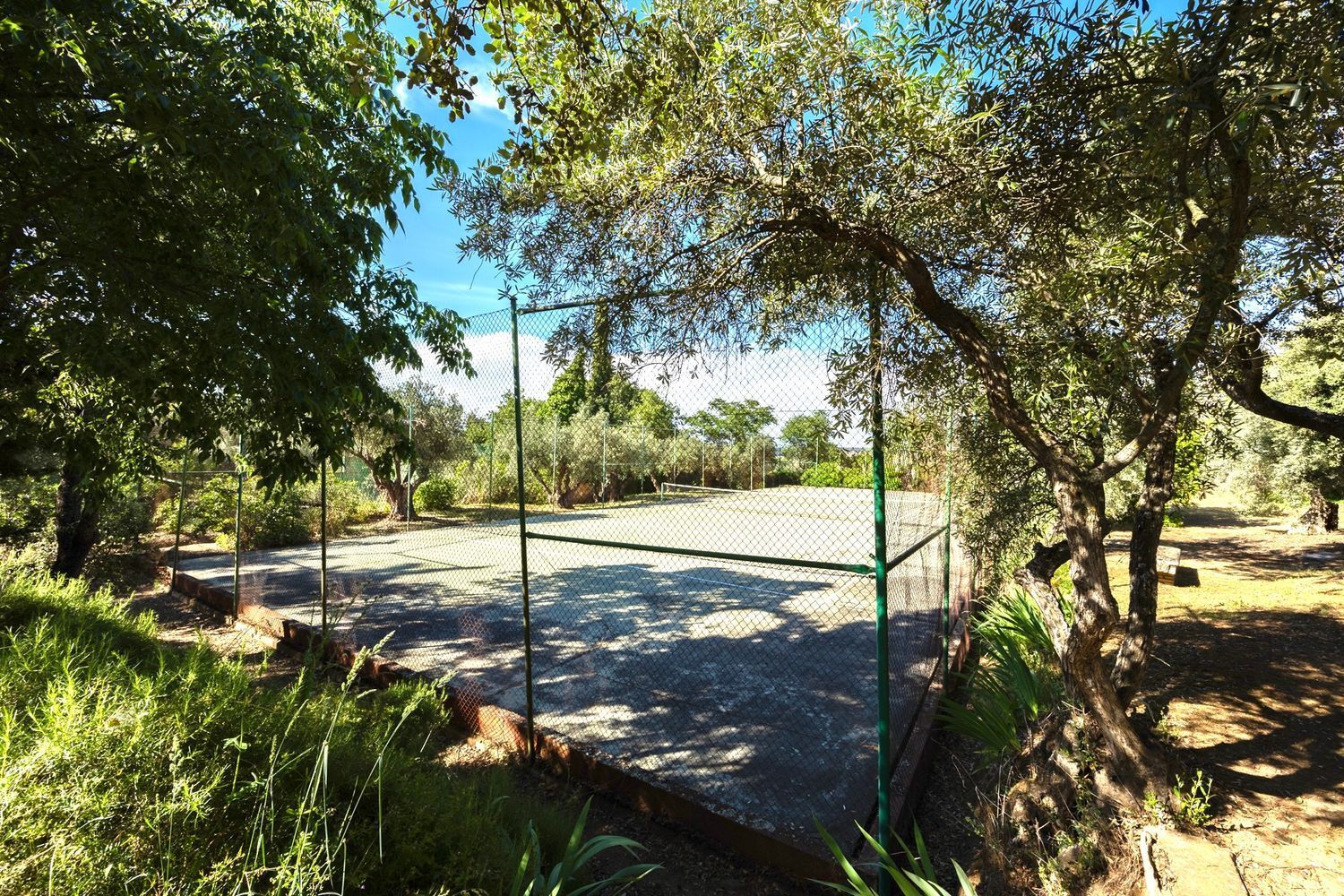 Casas o chalets-Venta-Toledo-1744111-Foto-34